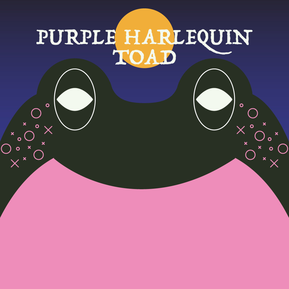 Episode art for Frog of the Week's "Purple Harlequin Frog". The frog is black and pink with geometric pink splotches, set against a spooky dark background.