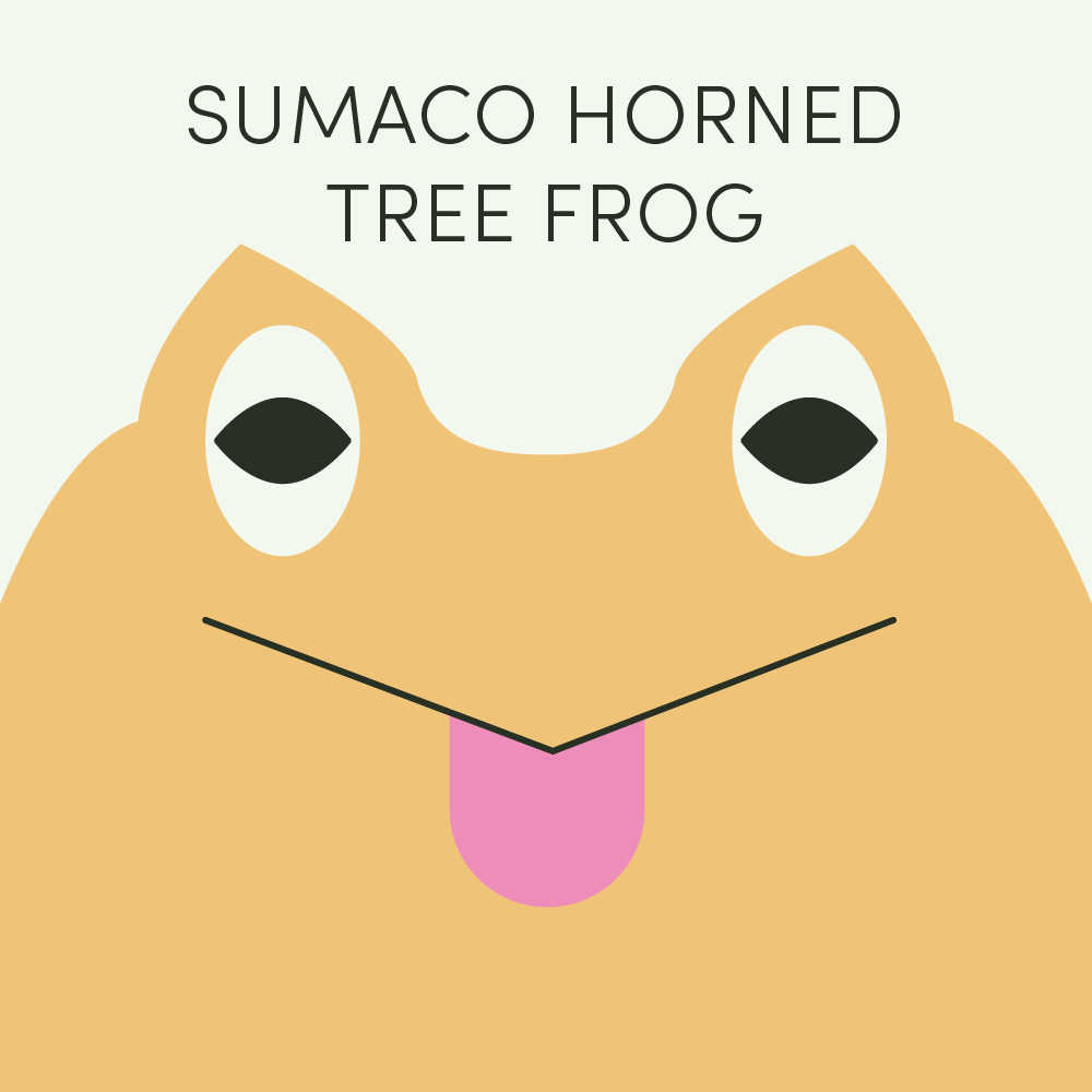 Episode art for Frog of the Week's "Sumaco Horned Tree Frog". The frog is yellow and angular with a pointed proboscis. It is sticking its tongue out.