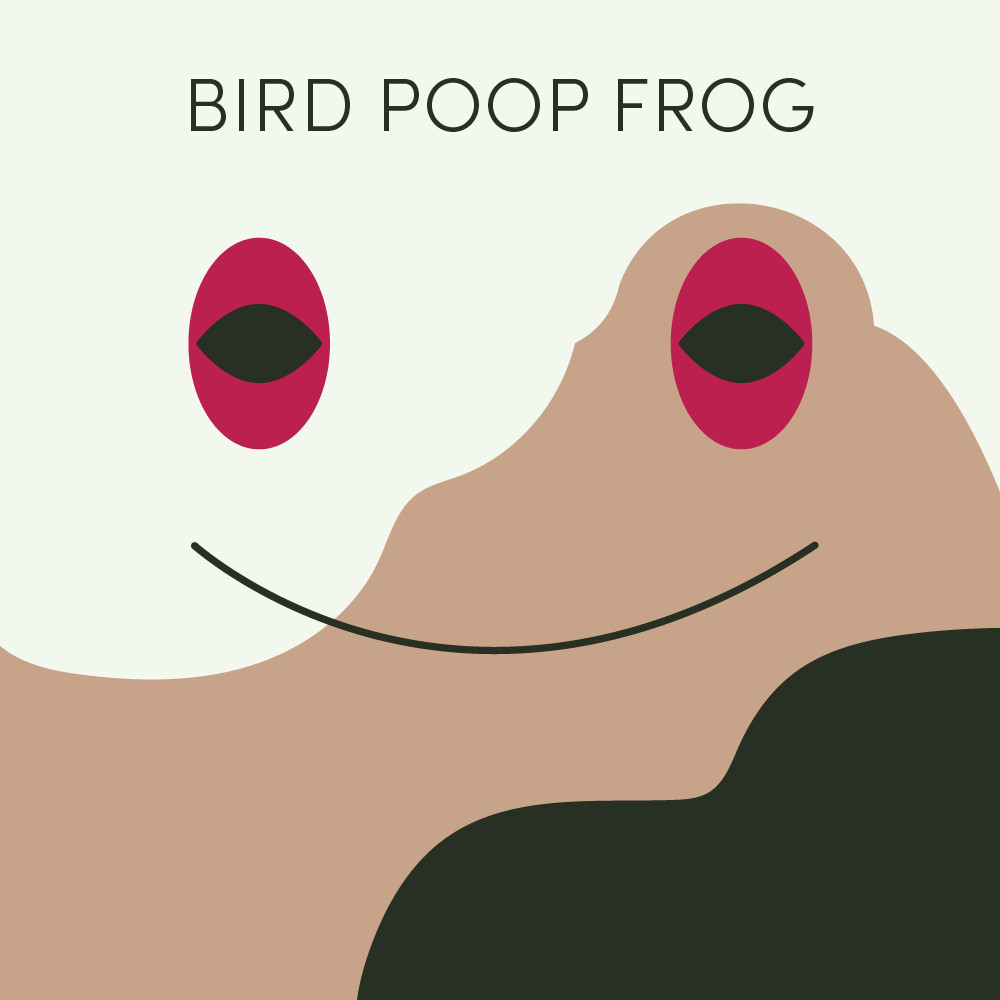 Episode art for Frog of the Week's "Bird Poop Frog". The frog is brown with dark red eyes and a white splotch that makes it blend into the background on its head, and a dark gray splotch lower on its body.