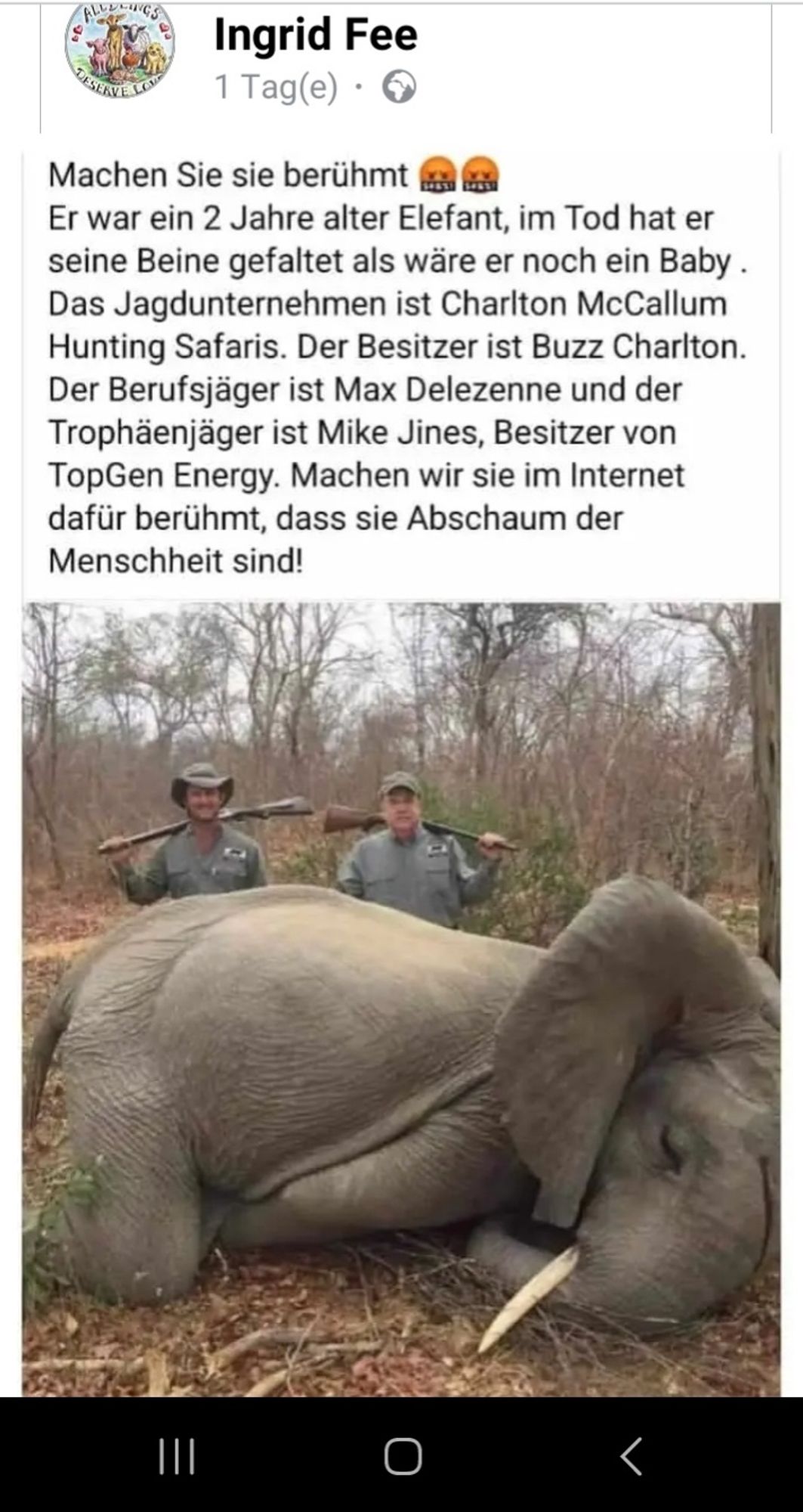 Ein erschlossener Elefant 
Dahinter die 2 Jäger