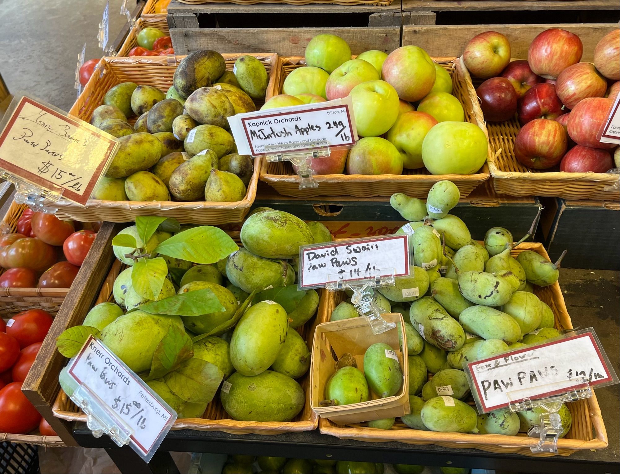 Assortment of paw paws from several local farms and orchards on display for sale. They vary quite a bit in size and apparent condition.