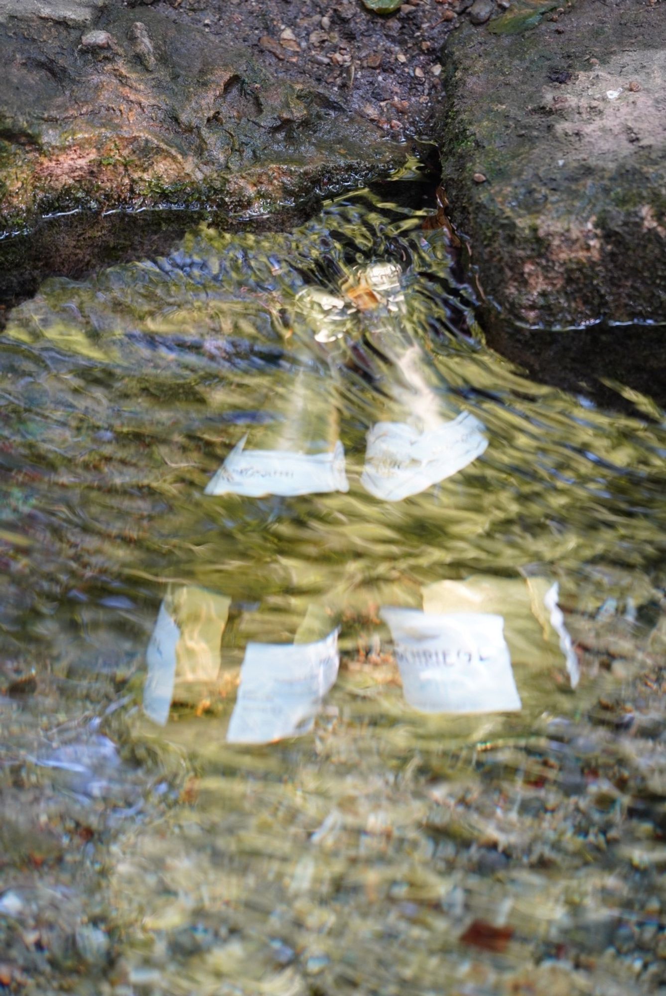 Sekt wird im Bach gekühlt