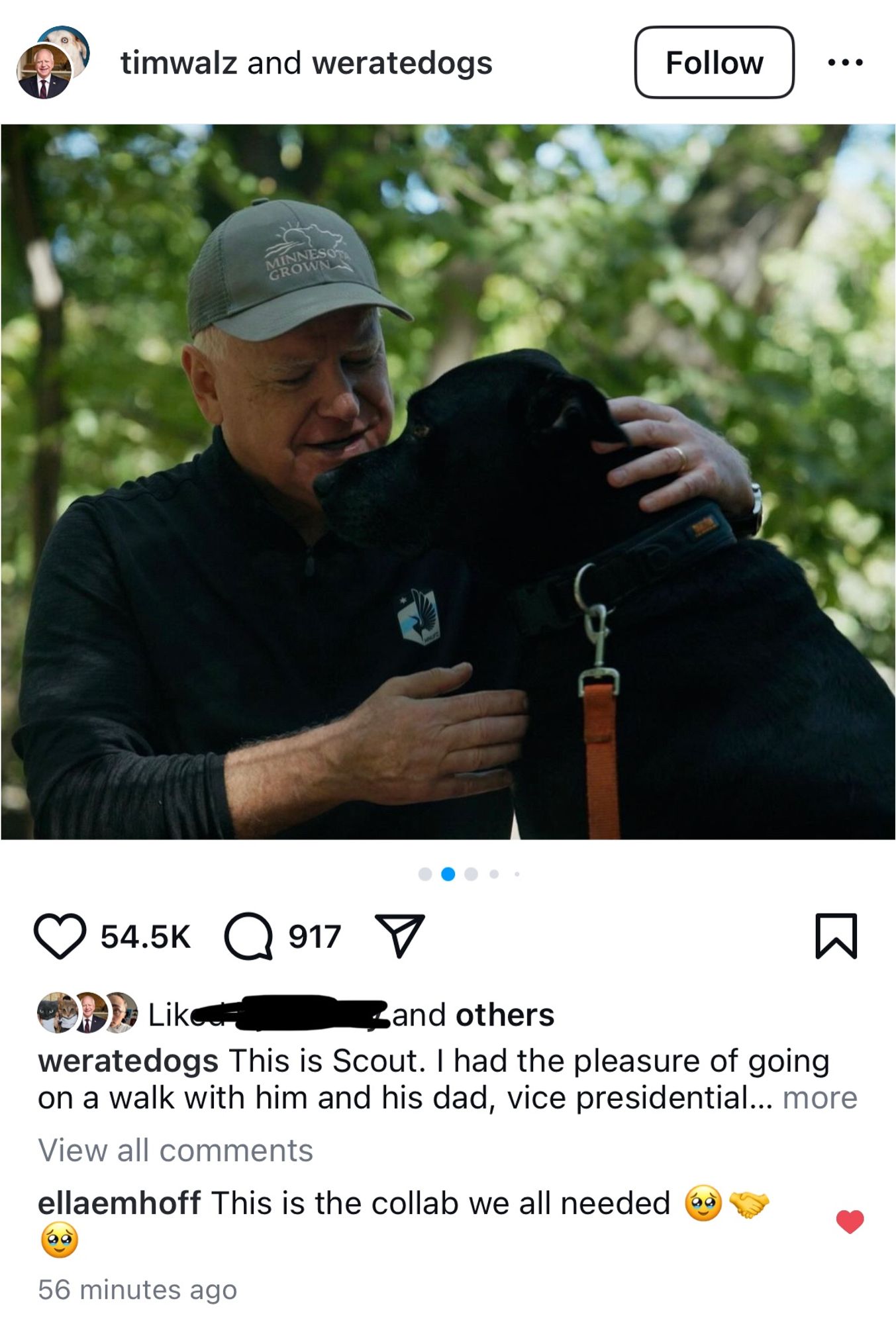 tim walz on the weratedogs IG account with his dog scout