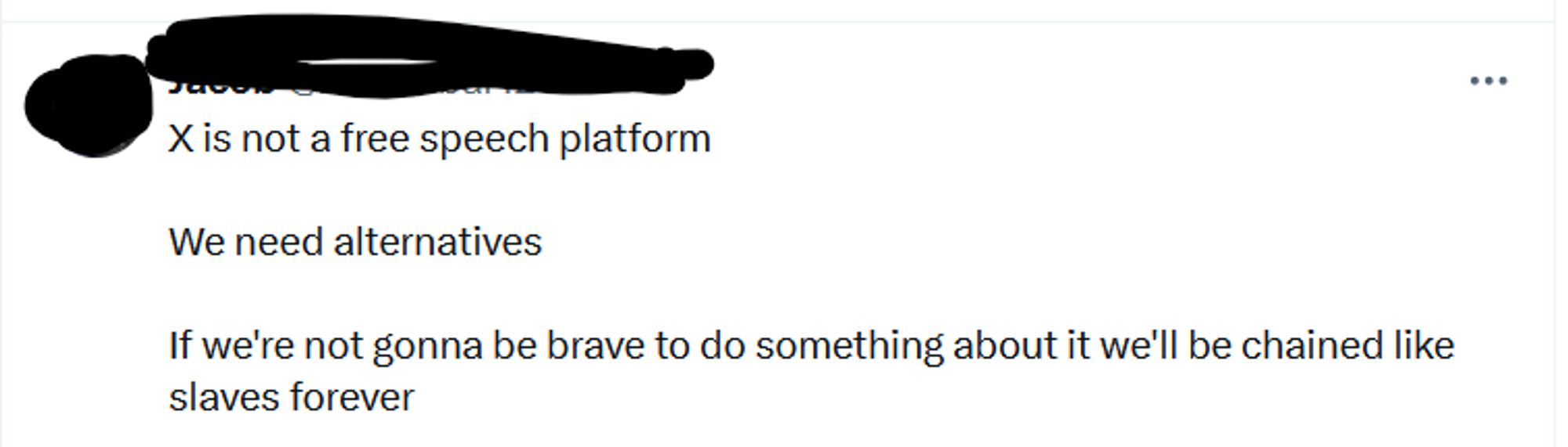 tweet, name blacked out. "X is not a free speech platform. We need alternatives If we're not gonna be brave to do something about it we'll be chained like slaves forever."