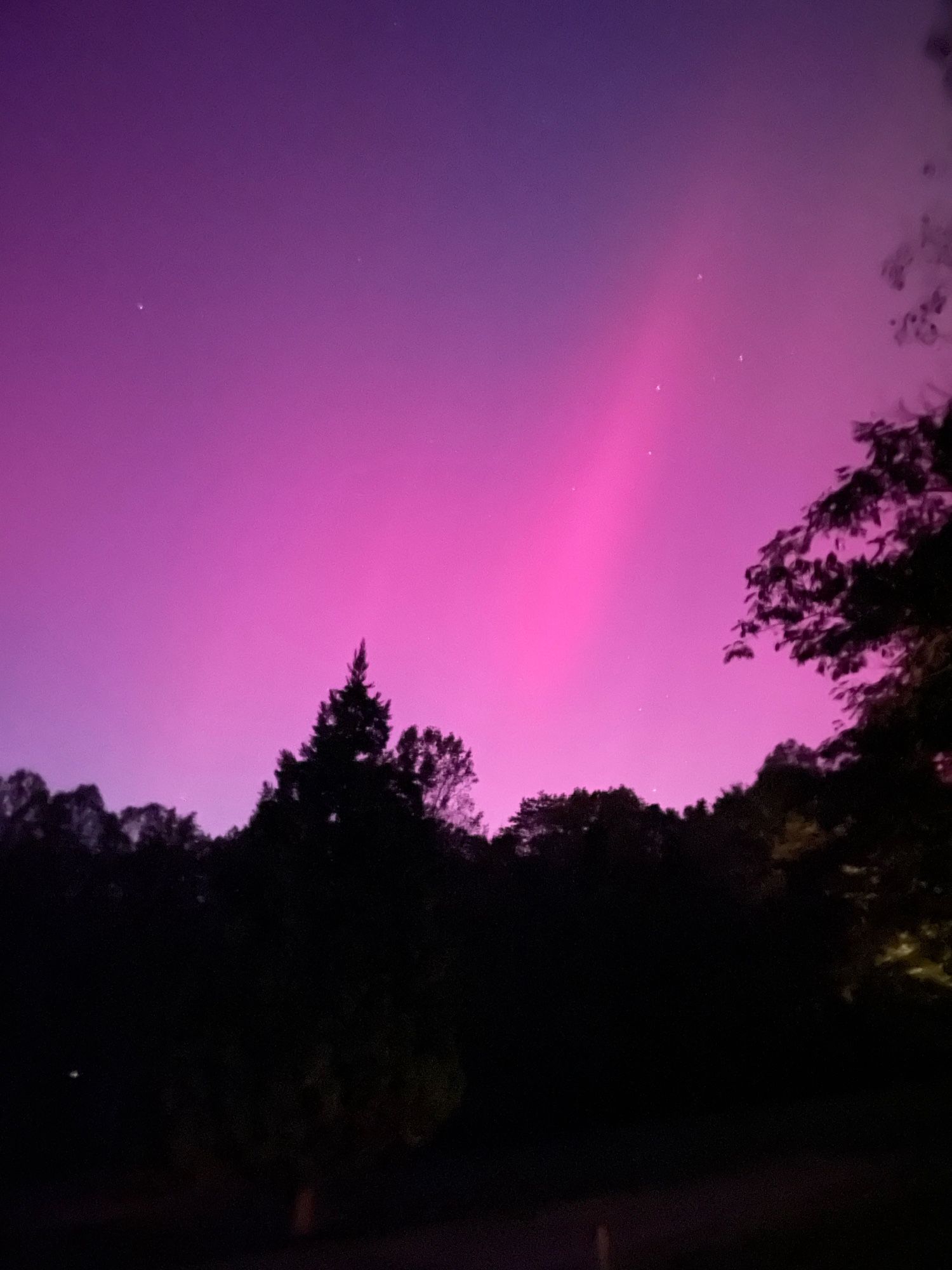 The Aurora shows as bright pink streaks and reddish-purple glow in the night sky, above silhouetted trees.