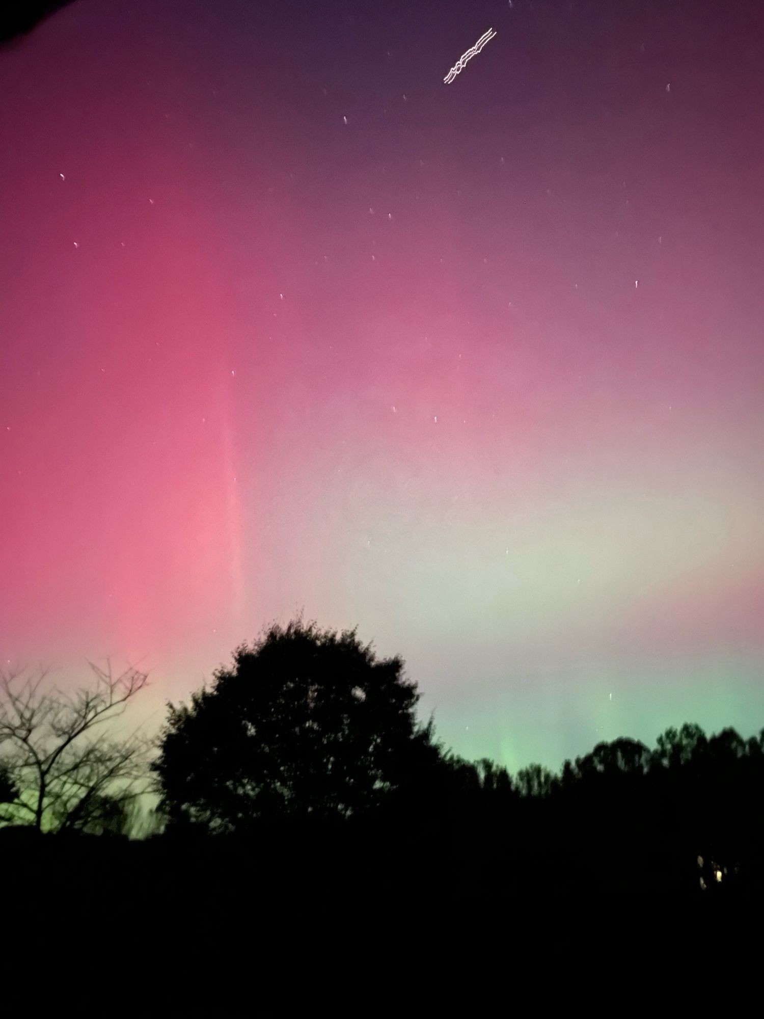 Pink and green northern lights, showing some streaks and pillars, with silhouetted trees below