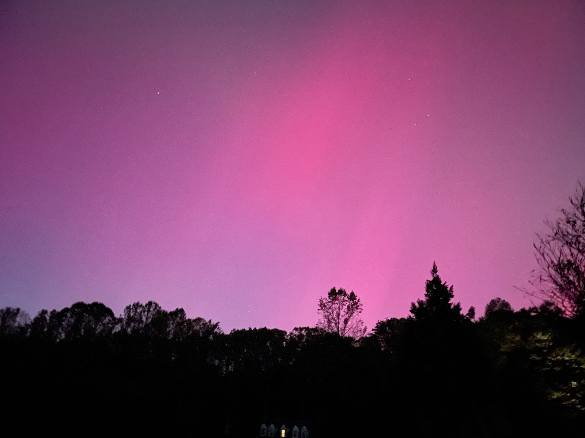 Pink glow and streaks above the trees