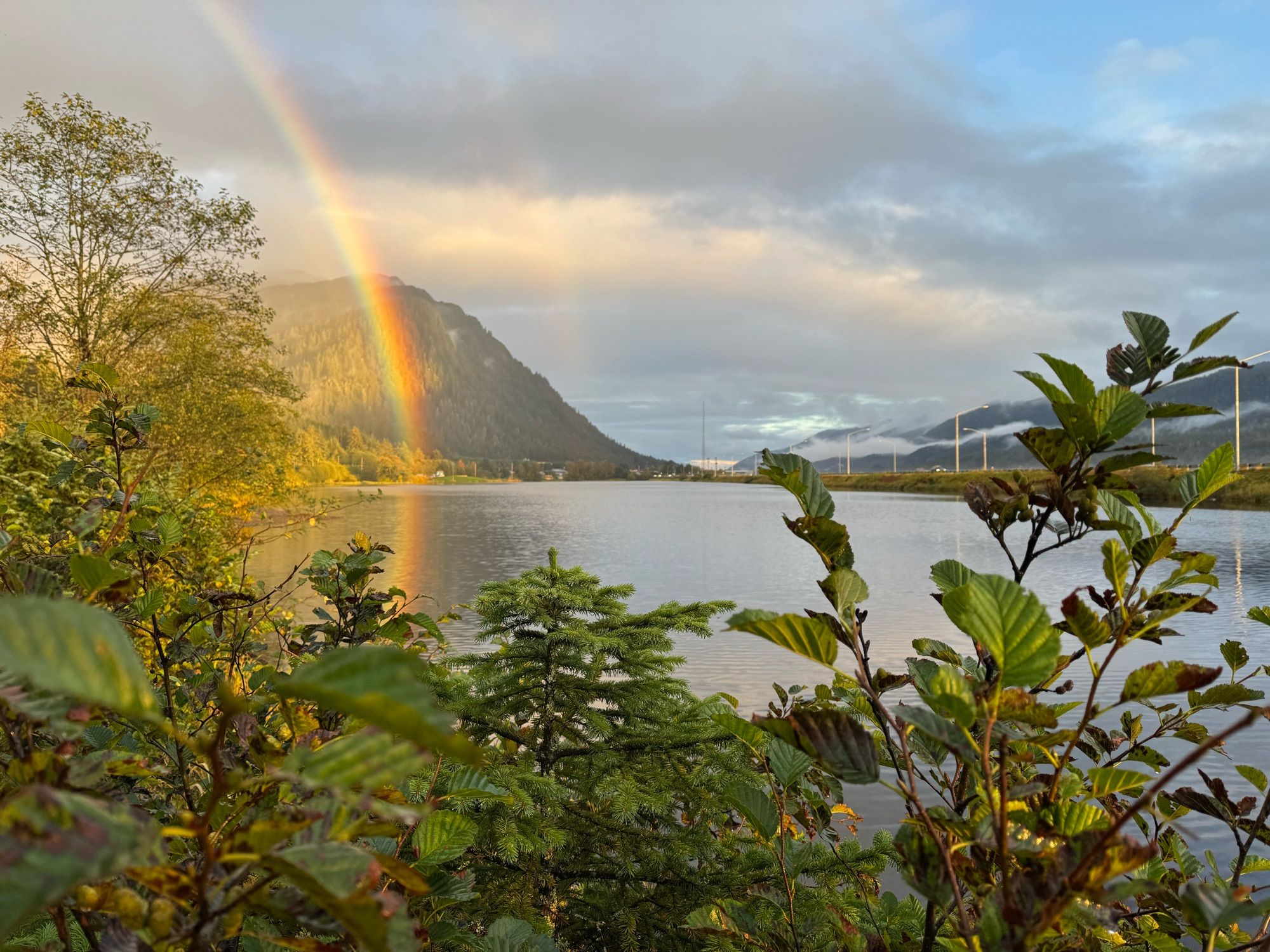 A brilliant rainbow is reflected in a placid lake beyond some bushes