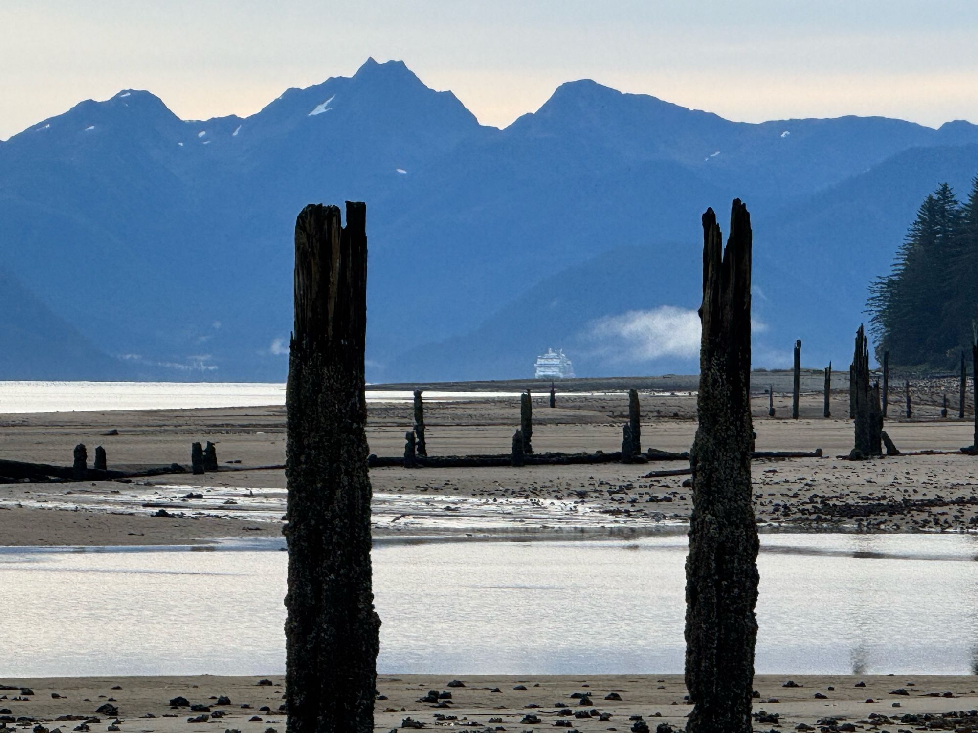 An approaching cruise ship is bracketed by two worn pier pilings