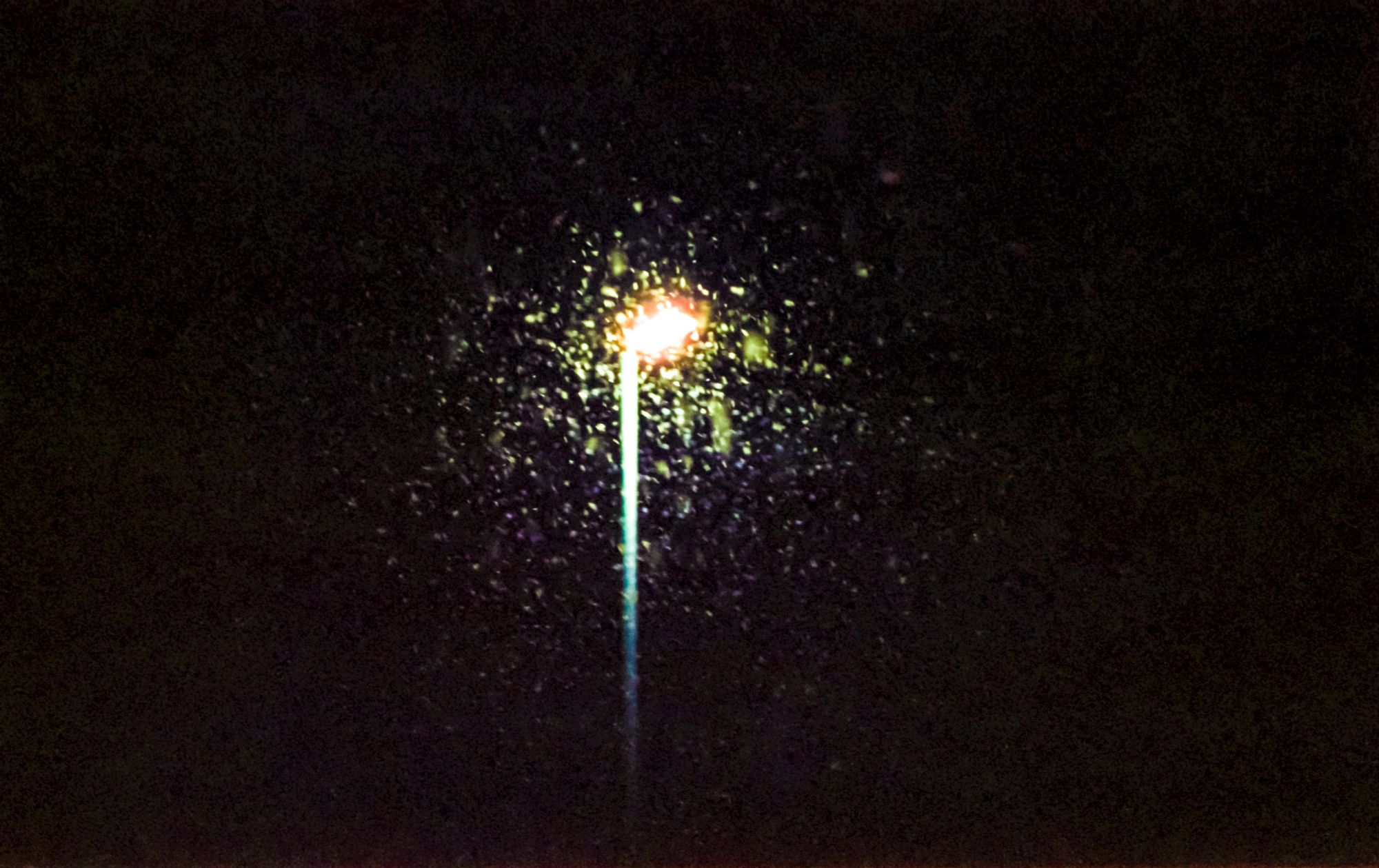 Snow falling and being illuminated surrounding a street light at night. Film Photography. Colour Analogue Photograph.