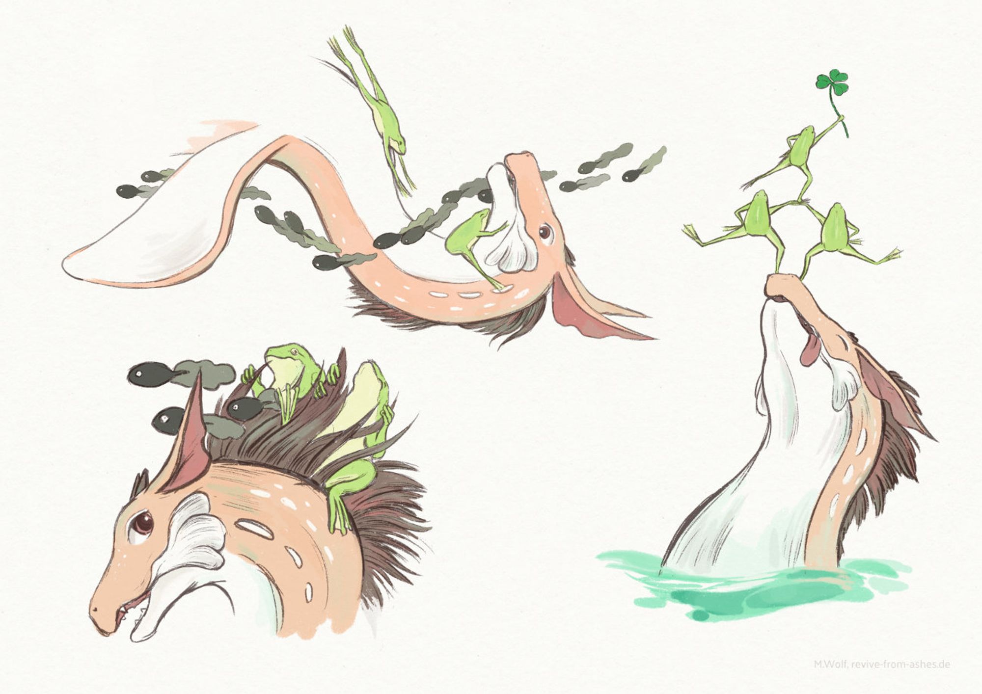 Three sketches of a dragon, frogs and tadpoles.