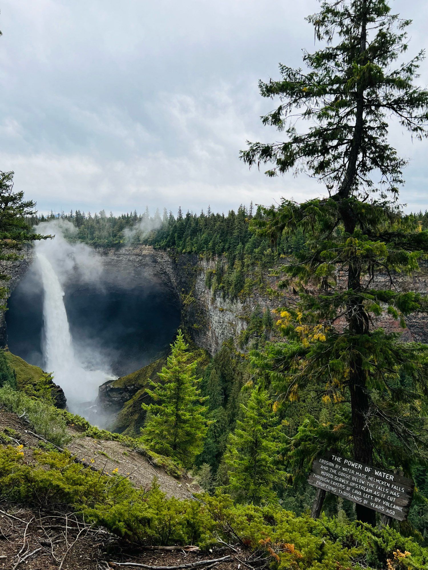 Photo of a large waterfall surrounded with tall trees and steep cliffs.