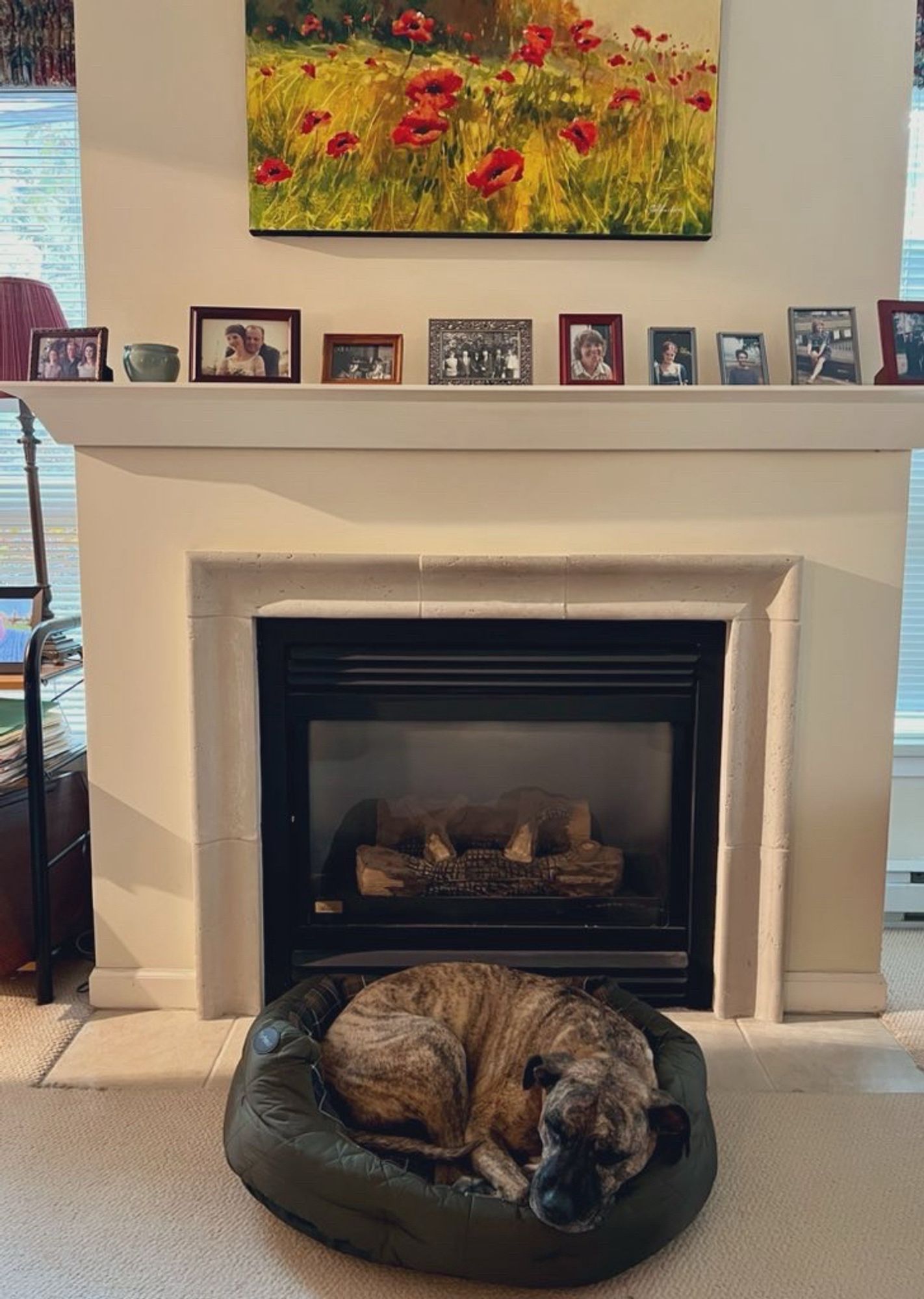 Photo of Dolly the brindle pitbull lying in a bed in front of a fireplace and mantle with family photos and painting above with poppies.