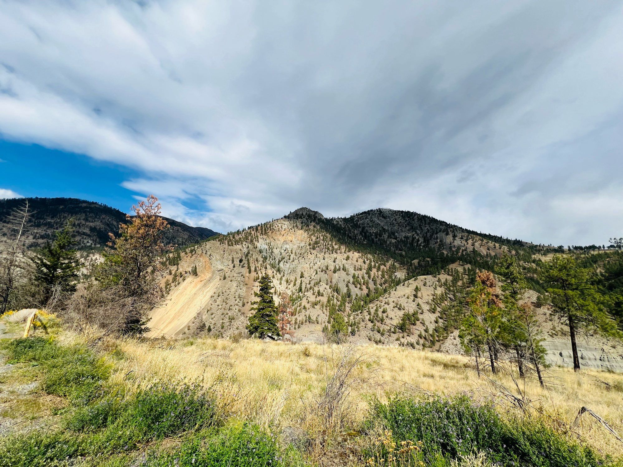 Photo of brown mountain hills spotted with trees against a cloudy sky.