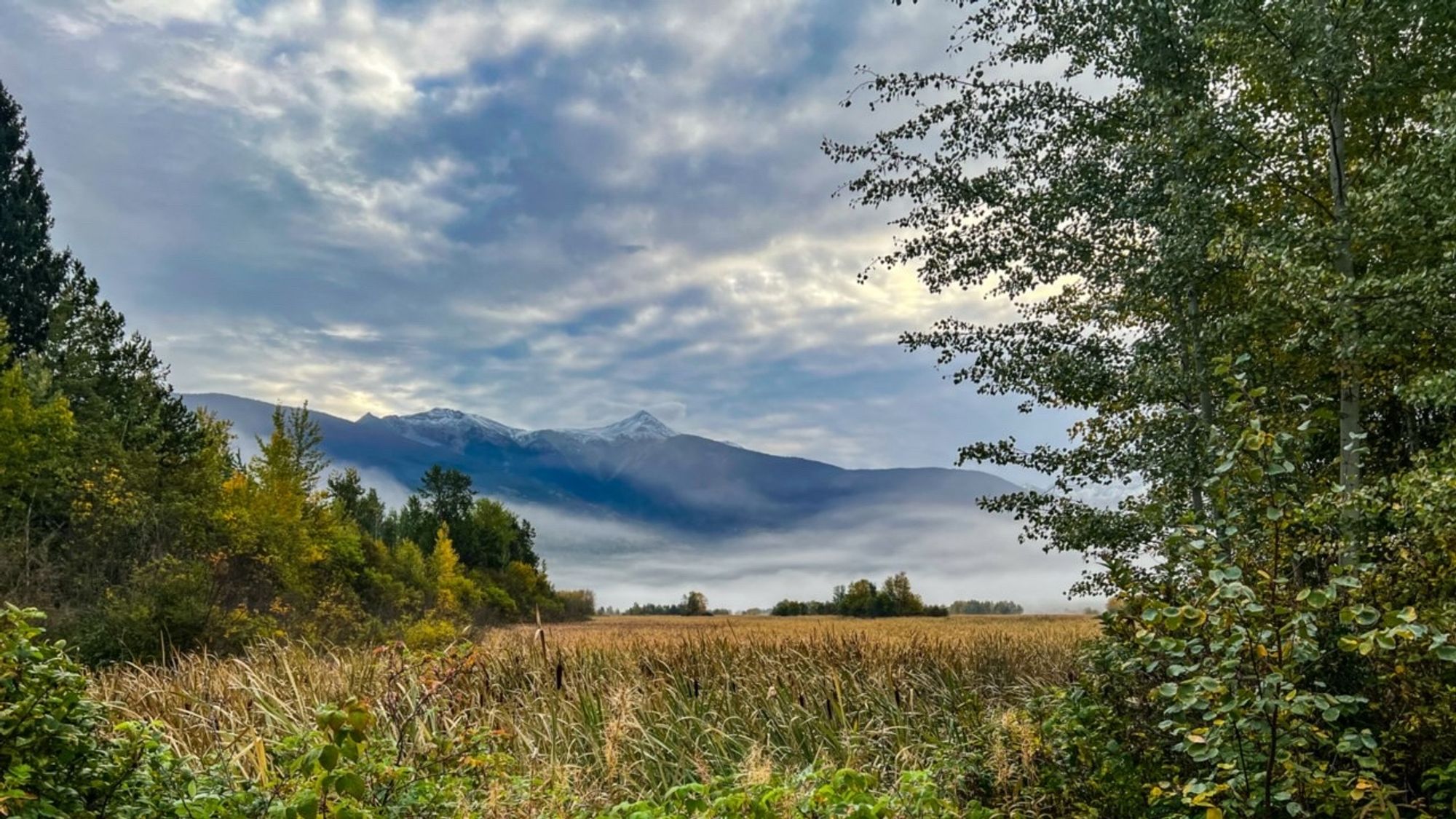 Photo of a beautiful scene in Valemount - mountains, clouds, low lying for and trees and a bog.