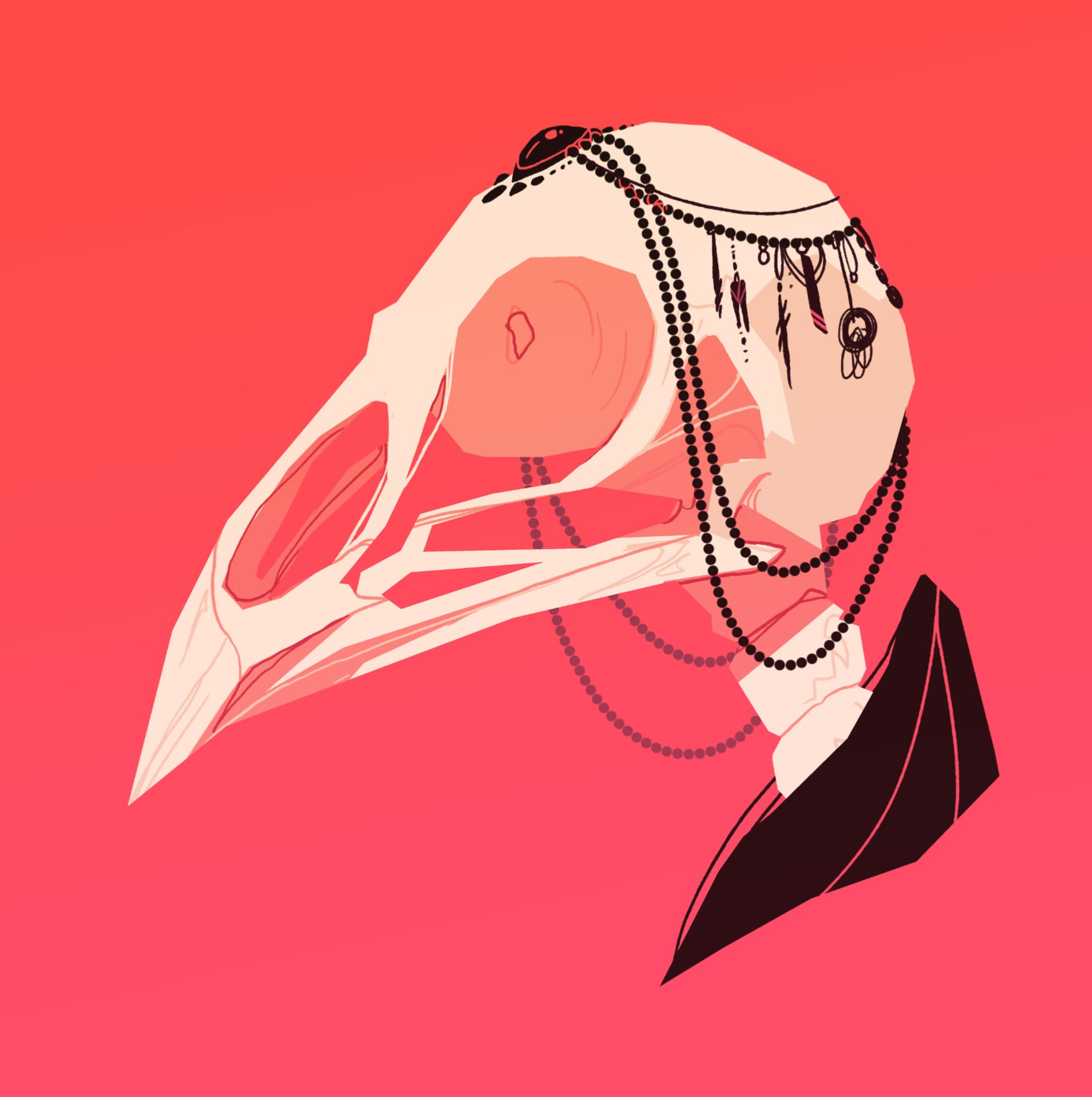 bird skull illustration