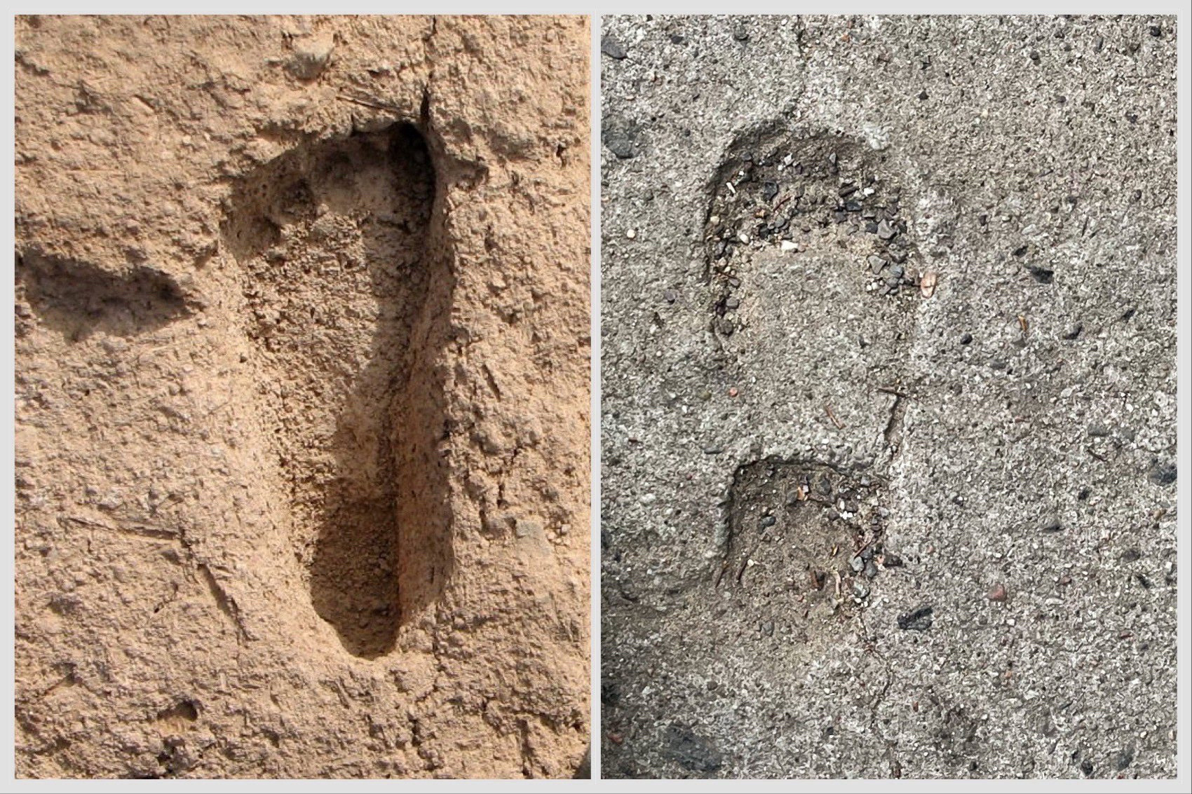 Two photos of children footprints shown next to each other. Left: a naked foot in a mudbrick's surface. Right: a shoeprint in concrete.