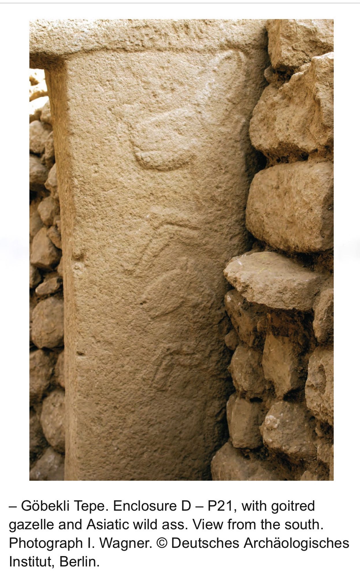 Photo of a limestone pillar with carved reliefs of a gazelle and a donkey, partly hidden by a dry stone wall.