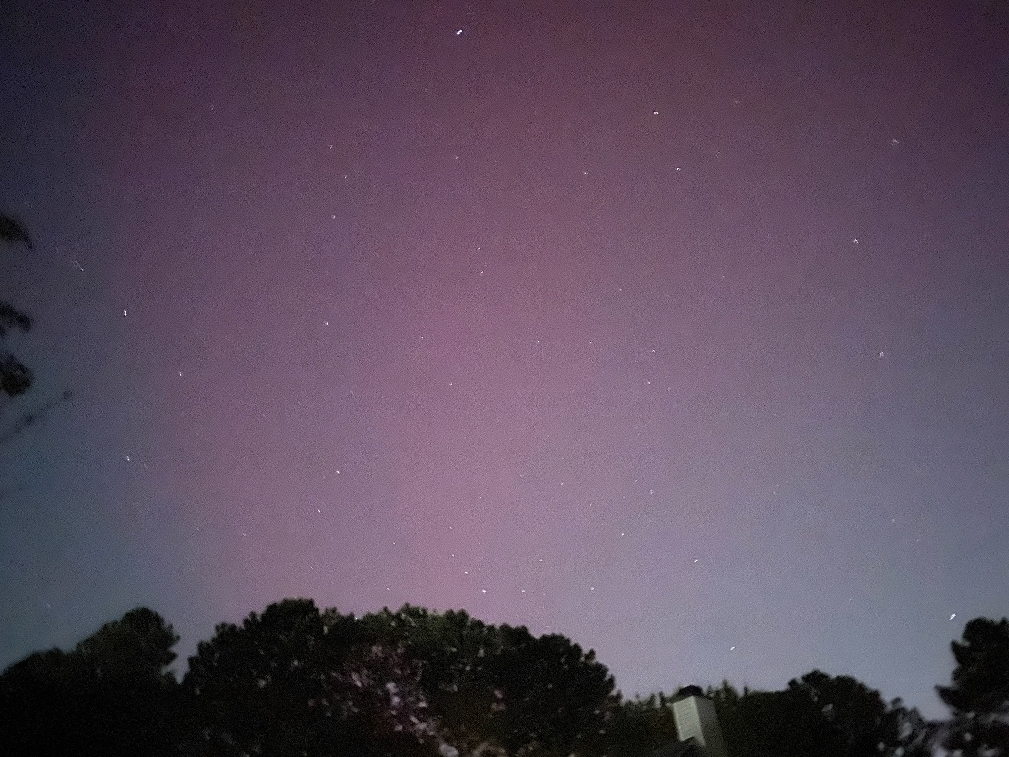 Bright pink against a blue-gray sky is all we could see with the help of night mode.