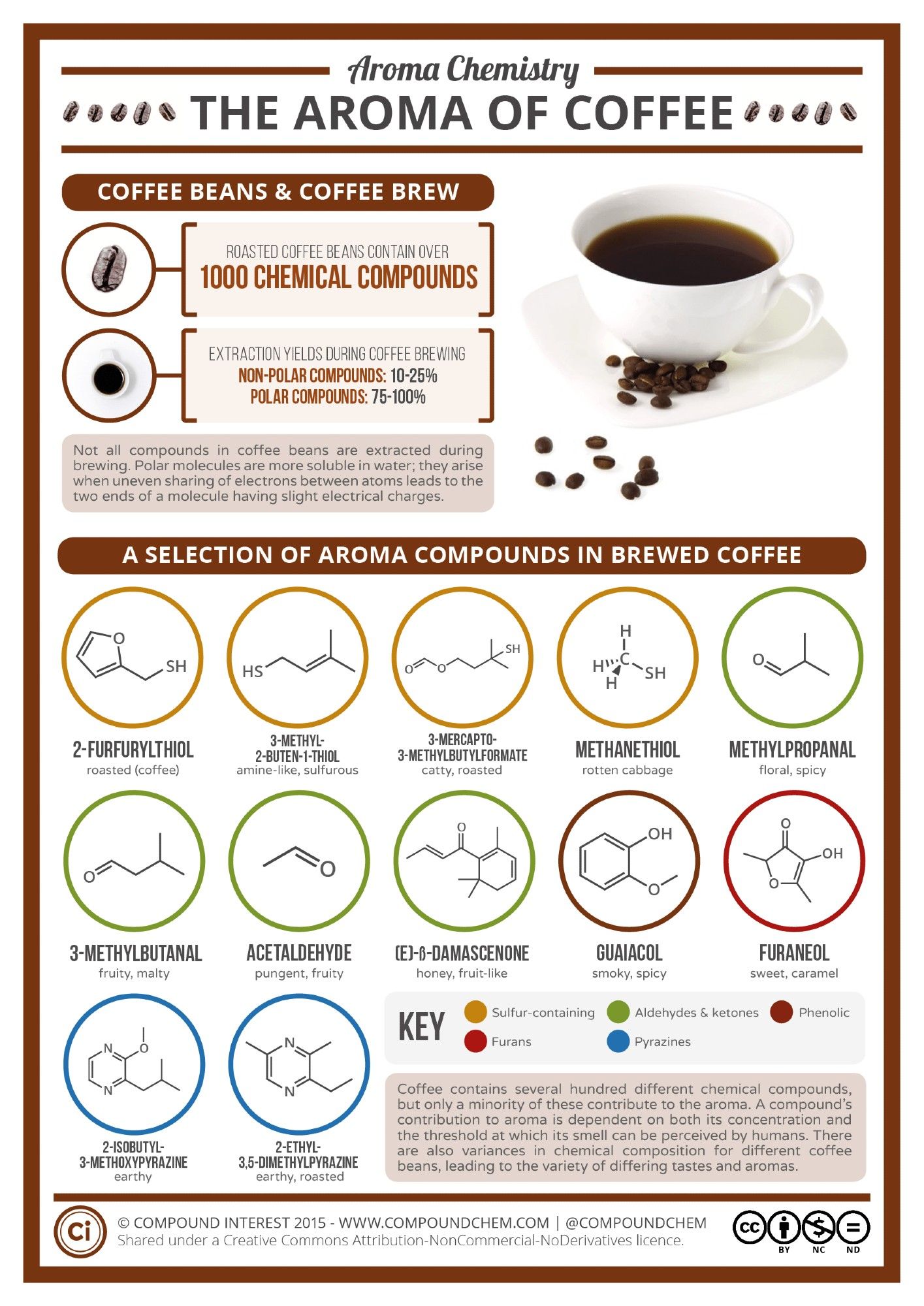 Infographic on the aroma of coffee. Roasted coffee beans contain over 1000 chemical compounds, but not all of these are extracted during brewing. Polar molecules are more soluble in water and a greater proportion of them are extracted. Only a minority of the extracted compounds contribute to aroma, and this is dependent on both their concentrations and the threshold at which the human nose can detect them. The aroma varies in composition for different coffee beans.