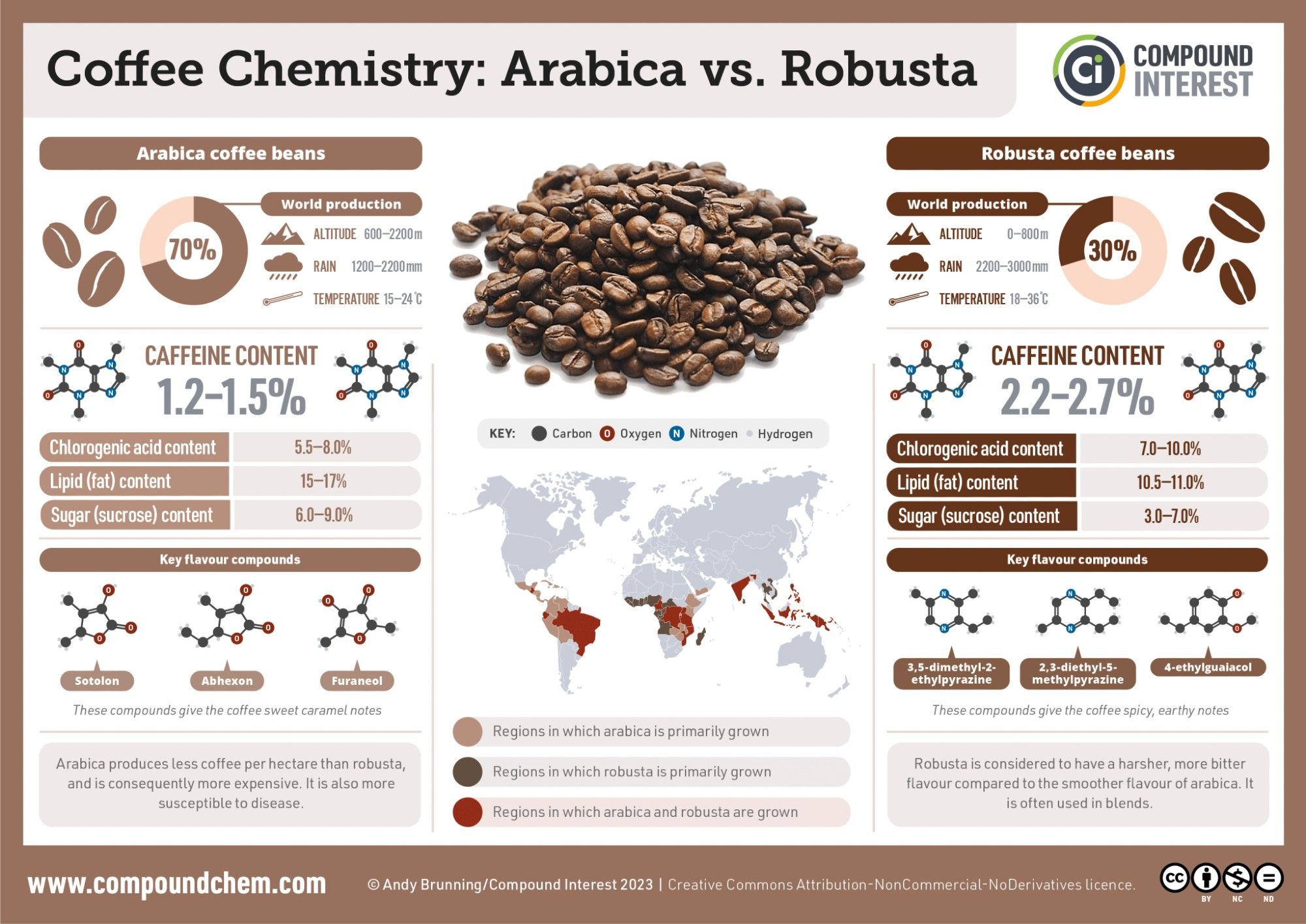 Infographic on the difference between arabica and robusta coffee.
World production: Arabica 70%, robusta 30%
Caffeine content: Arabica: 1.2-1.5%, robusta: 2.2-2.7%
Arabica has lower chlorogenic acid content and higher lipid and sugar content. 
Robusta’s key flavour compounds are more earthy in flavour than arabica’s.