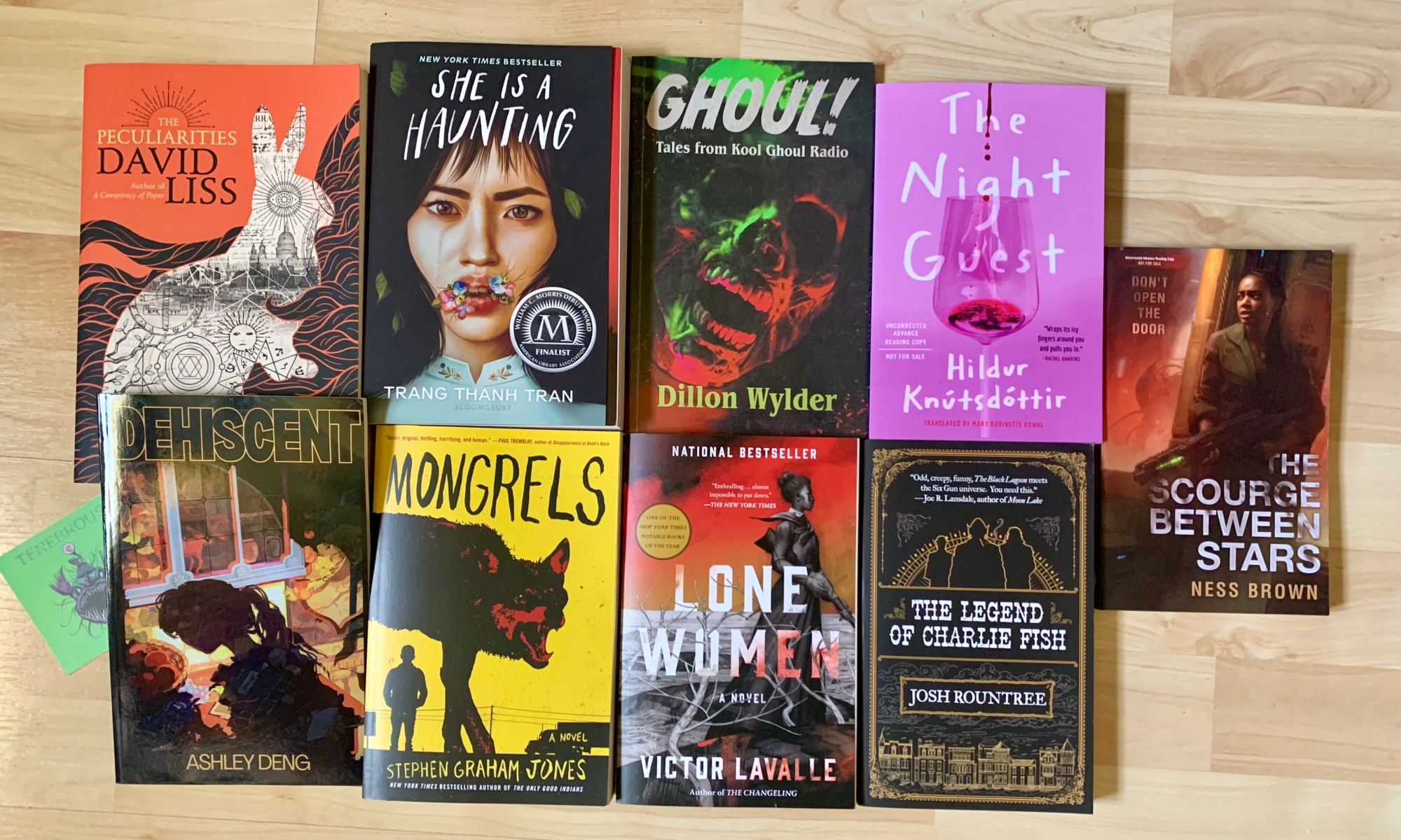 9 books with front covers showing, from authors David Less, Trang Thanh Tran, Dillon Wilder, Hildur Knutsdottir, Ness Brown, Ashley Deng, Stephen Graham Jones, Victor LaValle, and Josh Rountree