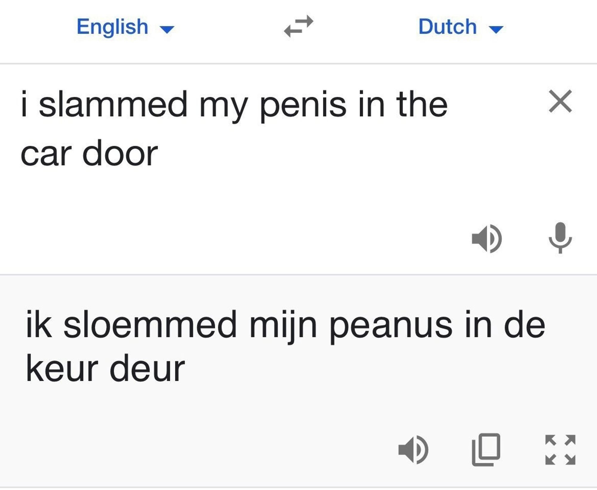 translation (incorrect, comical) of the phrase "I slammed my penis in the car door" from English to Dutch