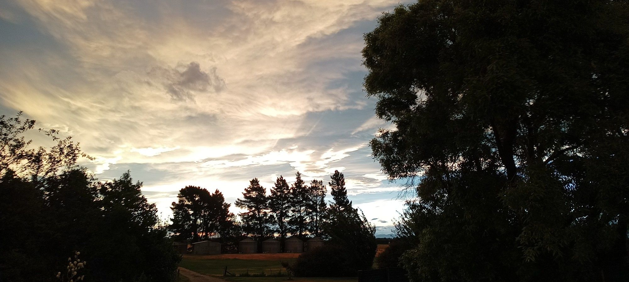 Evening, Canterbury, NZ