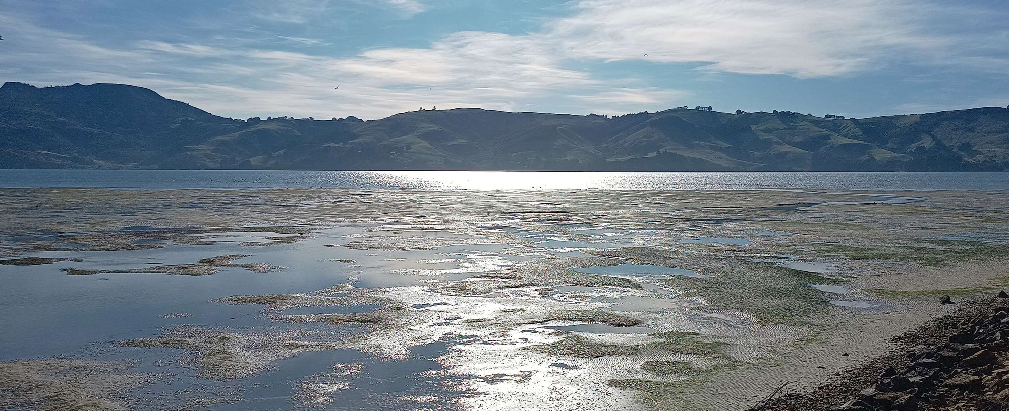 Otago Harbour, Winter 2.45pm