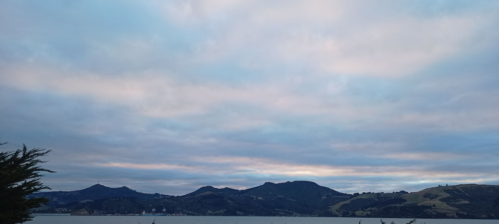 Otago Harbour