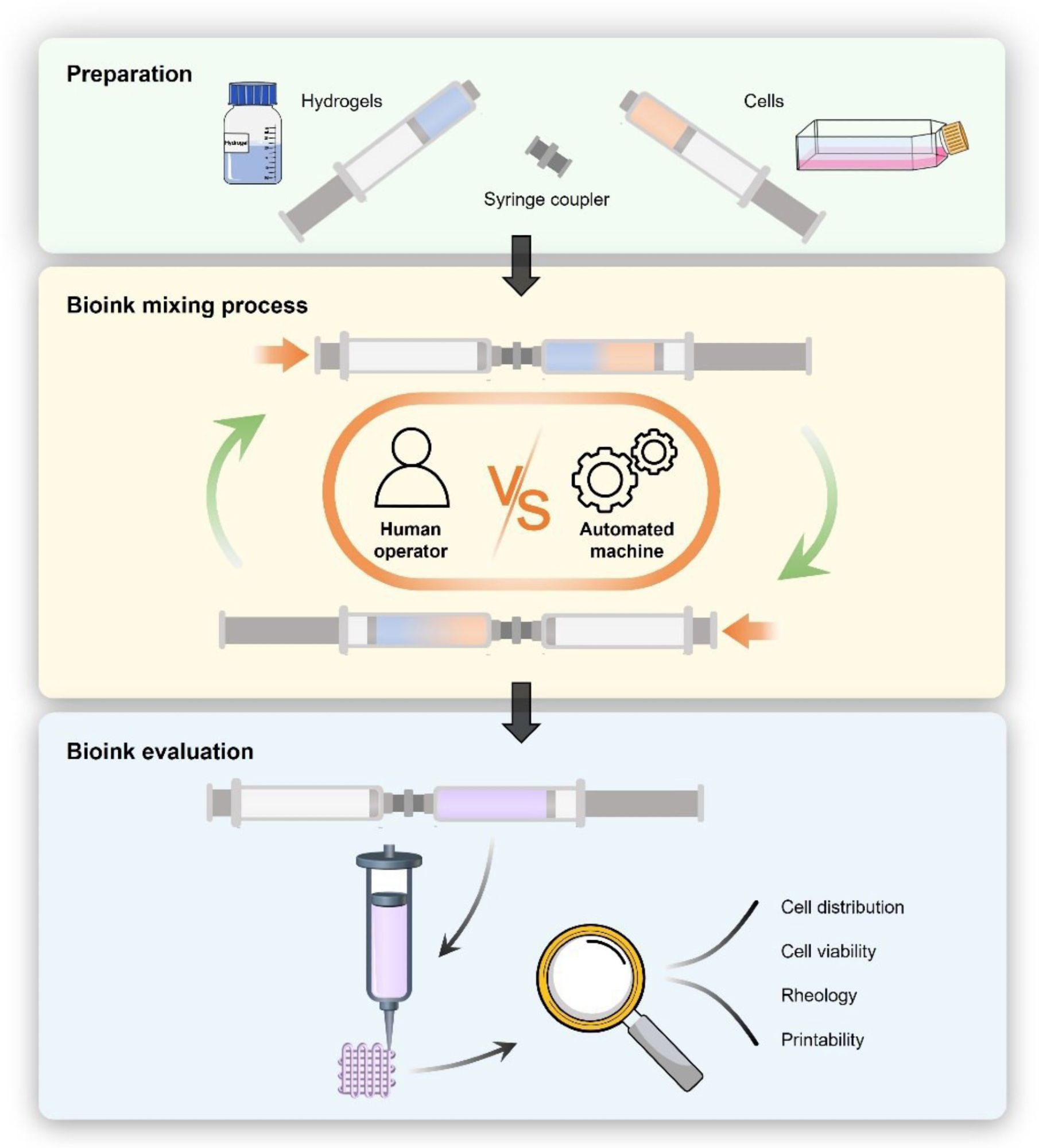 Two syringes are loaded with a hydrogel and a cell suspension and then connected with a coupler. The bioink mixing process is performed by human operators or automatically by a machine. The mixed bioinks are evaluated and bioprinted.