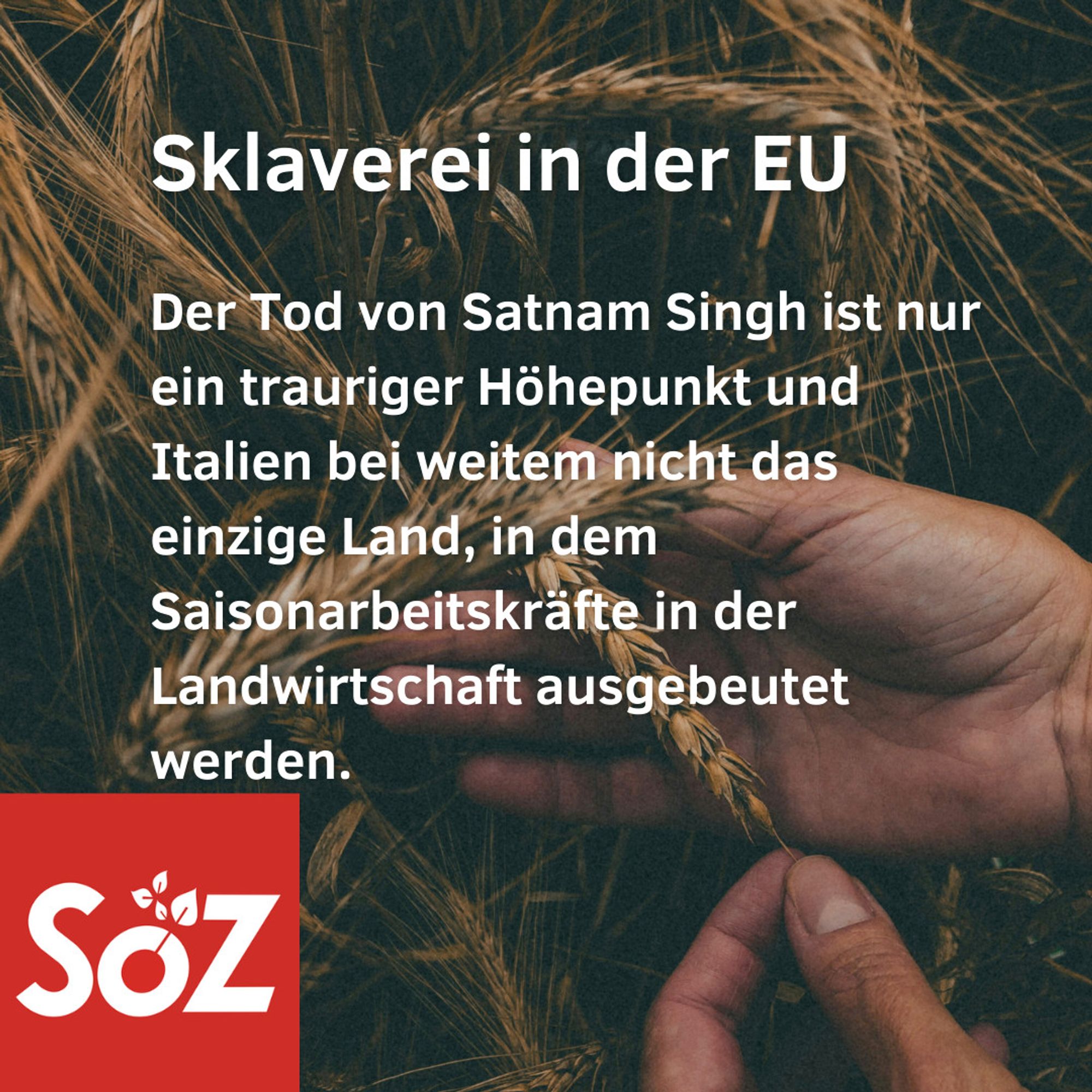 Sklaverei in der EU. Der Tod von Satnam Singh ist nur ein trauriger Höhepunkt und Italien bei weitem nicht das einzige Land, in dem Saisonarbeitskräfte in der Landwirtschaft ausgebeutet werden.