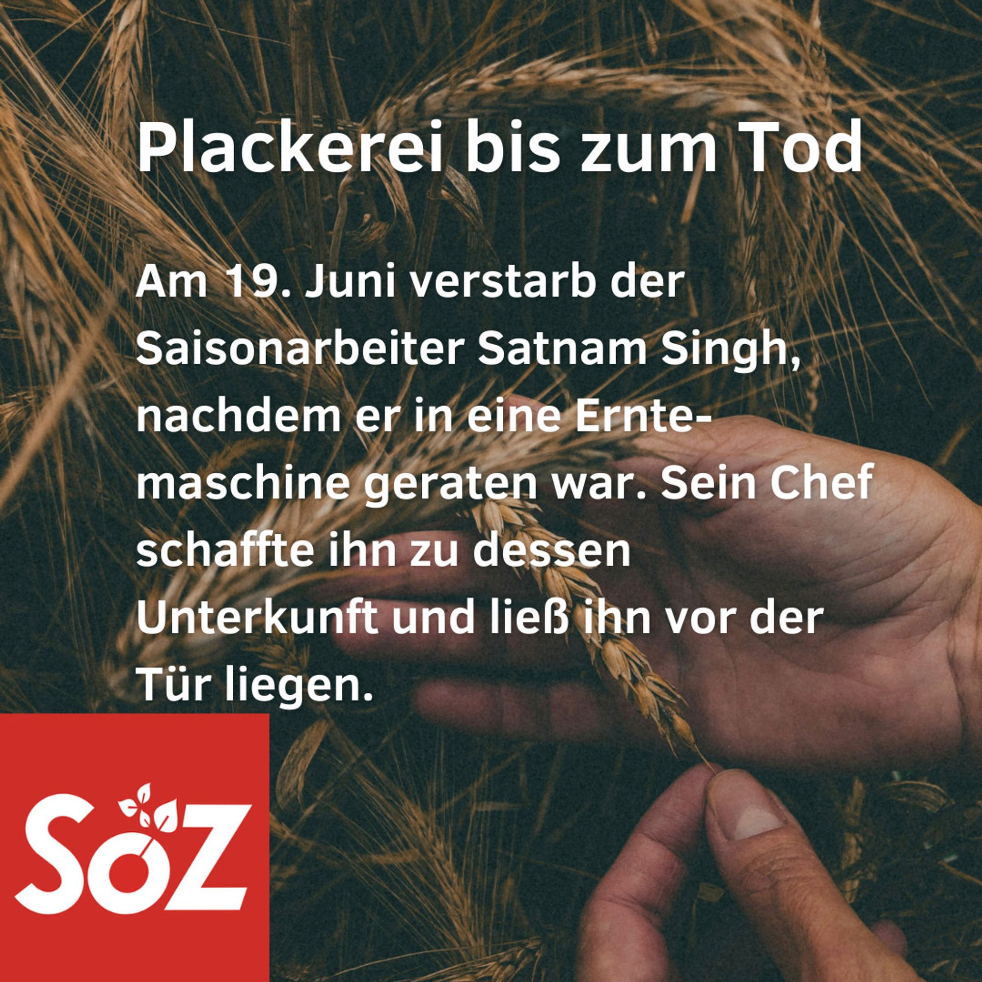 Plackerei bis zum Tod. Am 19. Juni verstarb der Saisonarbeiter Satnam Singh, nachdem er in eine Erntemaschine geraten war. Sein Chef schaffte ihn zu dessen Unterkunft und ließ ihn vor der Tür liegen.