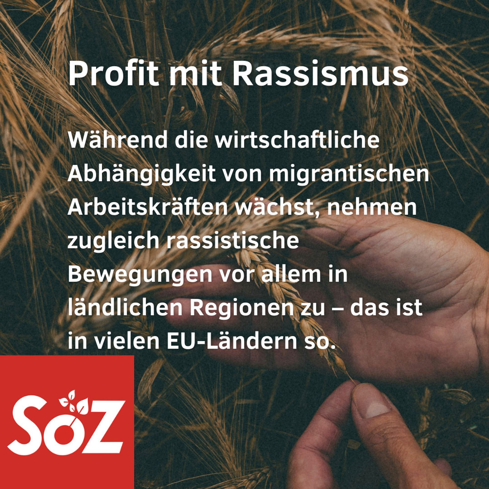 Profit mit Rassismus. Während die wirtschaftliche Abhängigkeit von migrantischen Arbeitskräften wächst, nehmen zugleich rassistische Bewegungen vor allem in den ländlichen Regionen zu  - das ist in vielen EU-Ländern so.