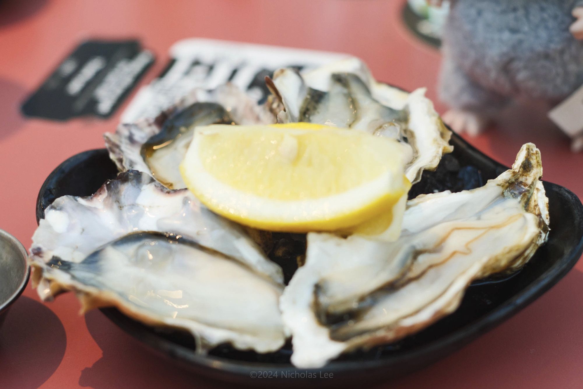 Close up of 4 freshly shucked oysters on a bed of ice with a lemon slice in the middle.