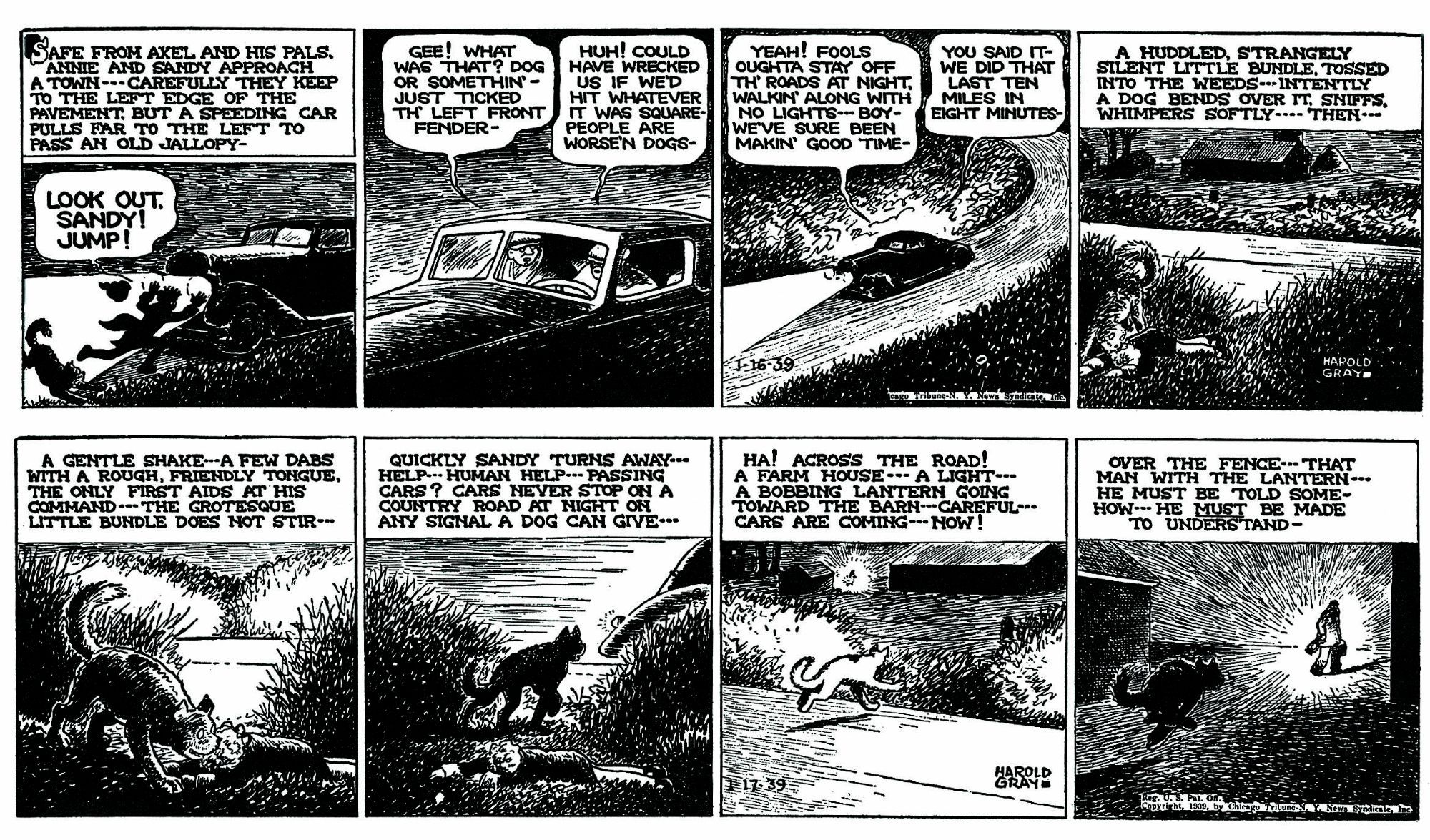 Little Orphan Annie by Harold Gray, 1/16/39
First three panels: Annie and Sandy are walking carefully at night but Annie is hit by two worthless jerks in an old jalopy, who drive off, unconcerned.
Fourth panel, narrative: 
"A huddled, strangely silent little bundled tossed into the weeds-- intently a dog bends over it, sniffs, whimpers softly-- then--"

1/17/39. Narrative blocks for four panels.
"A gentle shake-- a few dabs with a rough, friendly tongue, the only first aids at his command-- the grotesque little bundle does not stir--"
"Quickly Sandy turns away-- Help-- Human help-- Passing cars? Cars never stop on a country roat at night on any signal a dog can give-- "
"Ha! Across the road! A farm house-- A light-- A bobbing lantern going toward the barn-- Careful-- Cars are coing-- NOW!"
"Over the fence-- That man with the lantern-- He must be told somehow--  He must be made to understand- " (Silhouette of Sandy running fill tilt toward the farmer in the dark.)