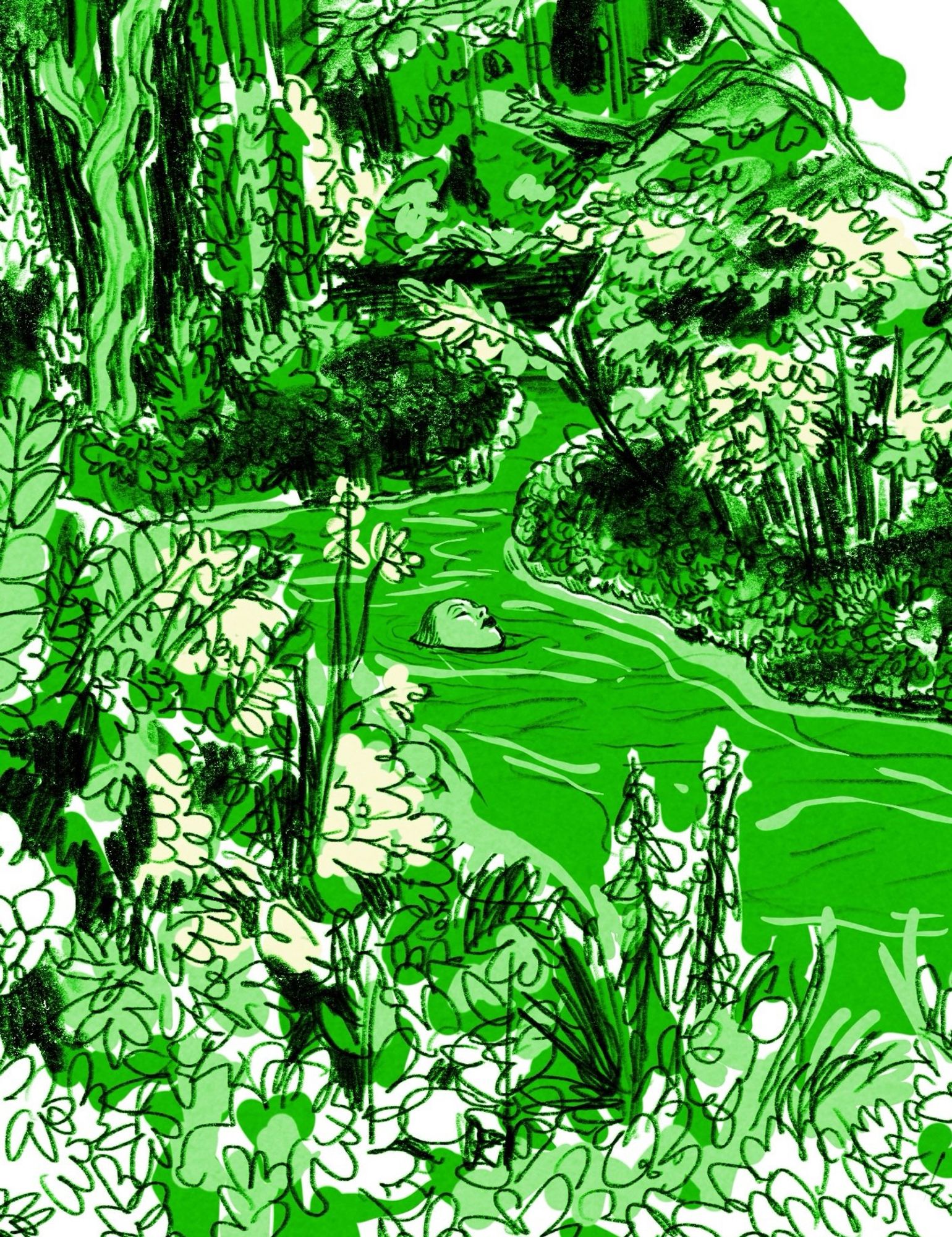 A drawing of a green stream surrounded by plant life, a woman’s face pokes out of the water