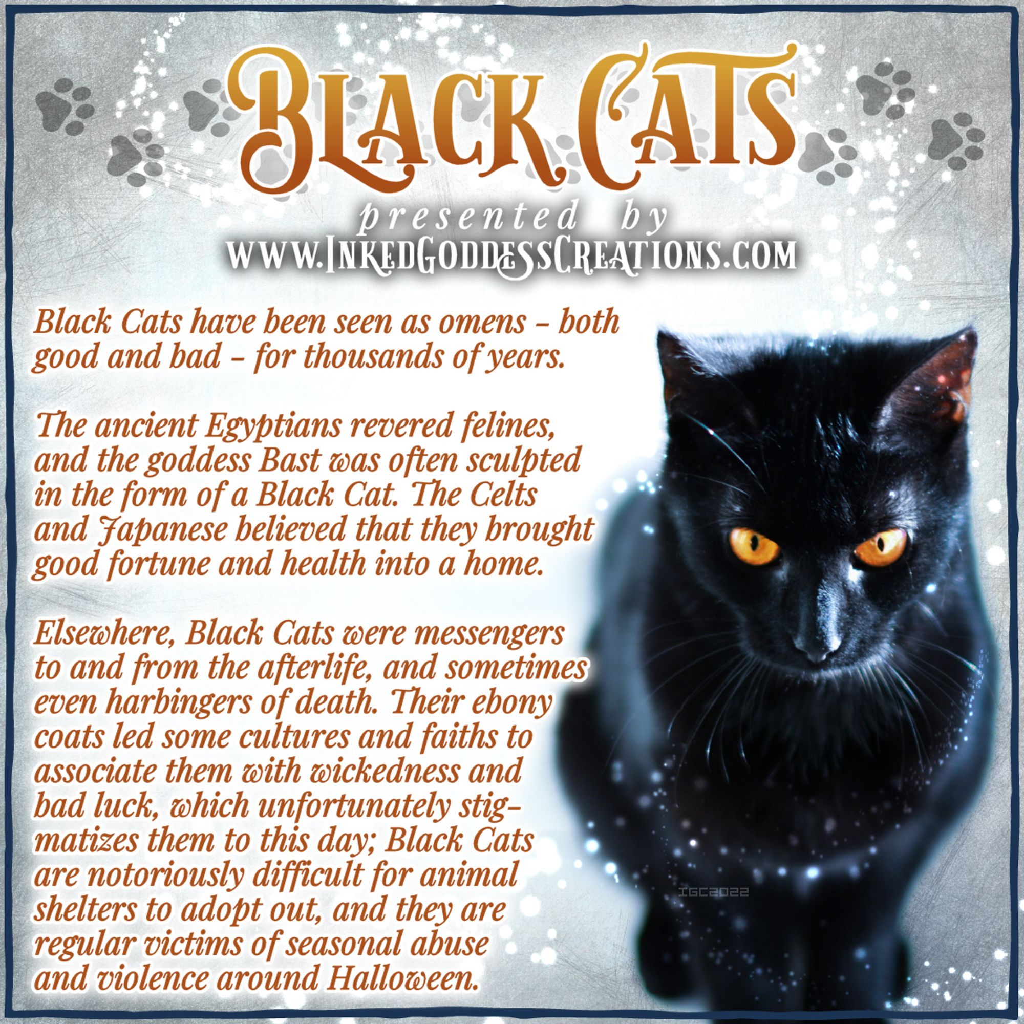 A beautiful black cat with orange eyes sits on the right side of the image. The cat is facing the camera, but the shot was taken from above and the cat is looking at something below the camera. The text details some of the lore around black cats and their symbolism. Presented by Inked Goddess Creations.