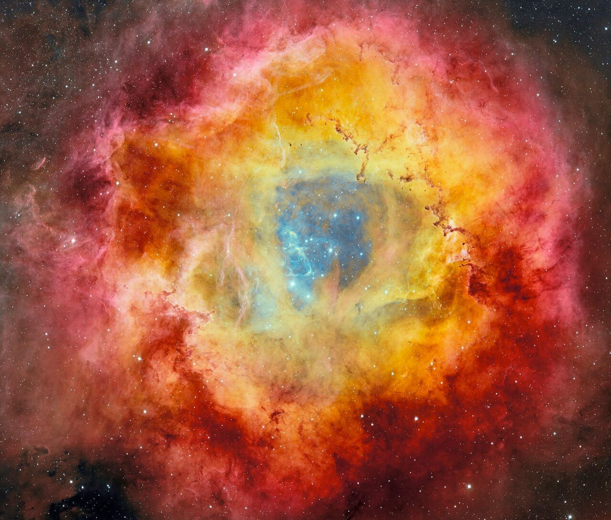 5,000 light-years away, the Rosette nebula appears to be "blooming" out of the interstellar void in this image, captured with the NSF Víctor M. Blanco 4-meter Telescope at Cerro Tololo Inter-American Observatory in Chile.   Billowing clouds of dust and gas, shaded red, gold and pink (varying in hue by elemental composition), surround the nebula's hollow core, created by powerful stellar winds produced by massive stars glittering from within.  This photo is the most detailed image ever captured of the nebula and is being released today in celebration of the fifth anniversary of the NSF's NOIRLab, an organization that brings together five iconic programs: Cerro Tololo Inter-American Observatory (CTIO), the Community Science and Data Center, Gemini Observatory, Kitt Peak National Observatory and Rubin Observatory.