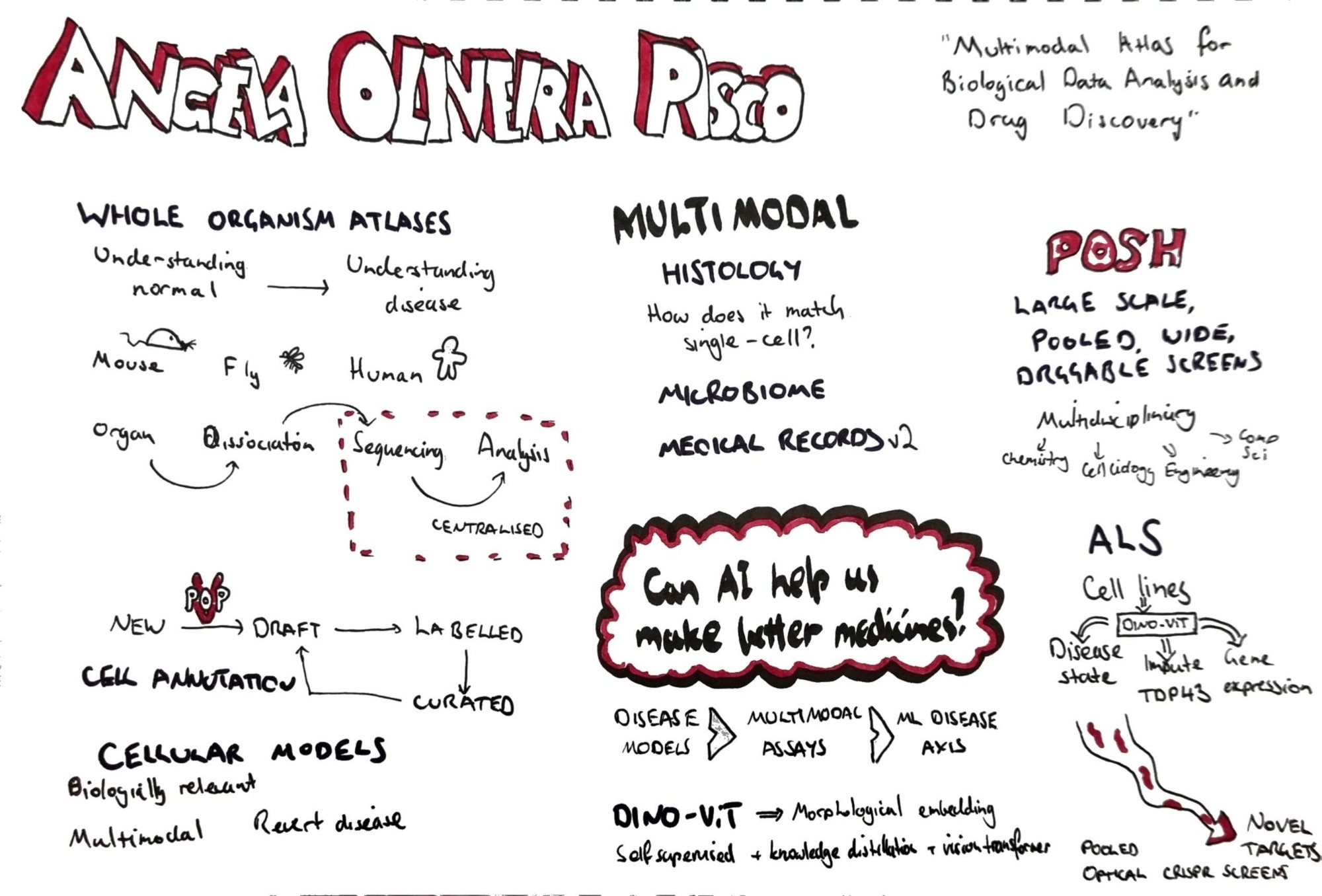 Sketch notes for Angela Oliveira Pisco scverse conference keynote "Multimodal Atlas for Biological Data Analysis and Drug Discovery"