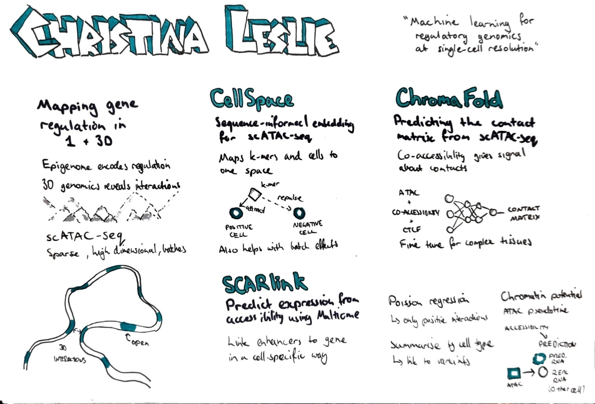 Sketchnotes for scverse conference keynote Christina Leslie "Machine learning for regulatory genomics at single-cell resolution"