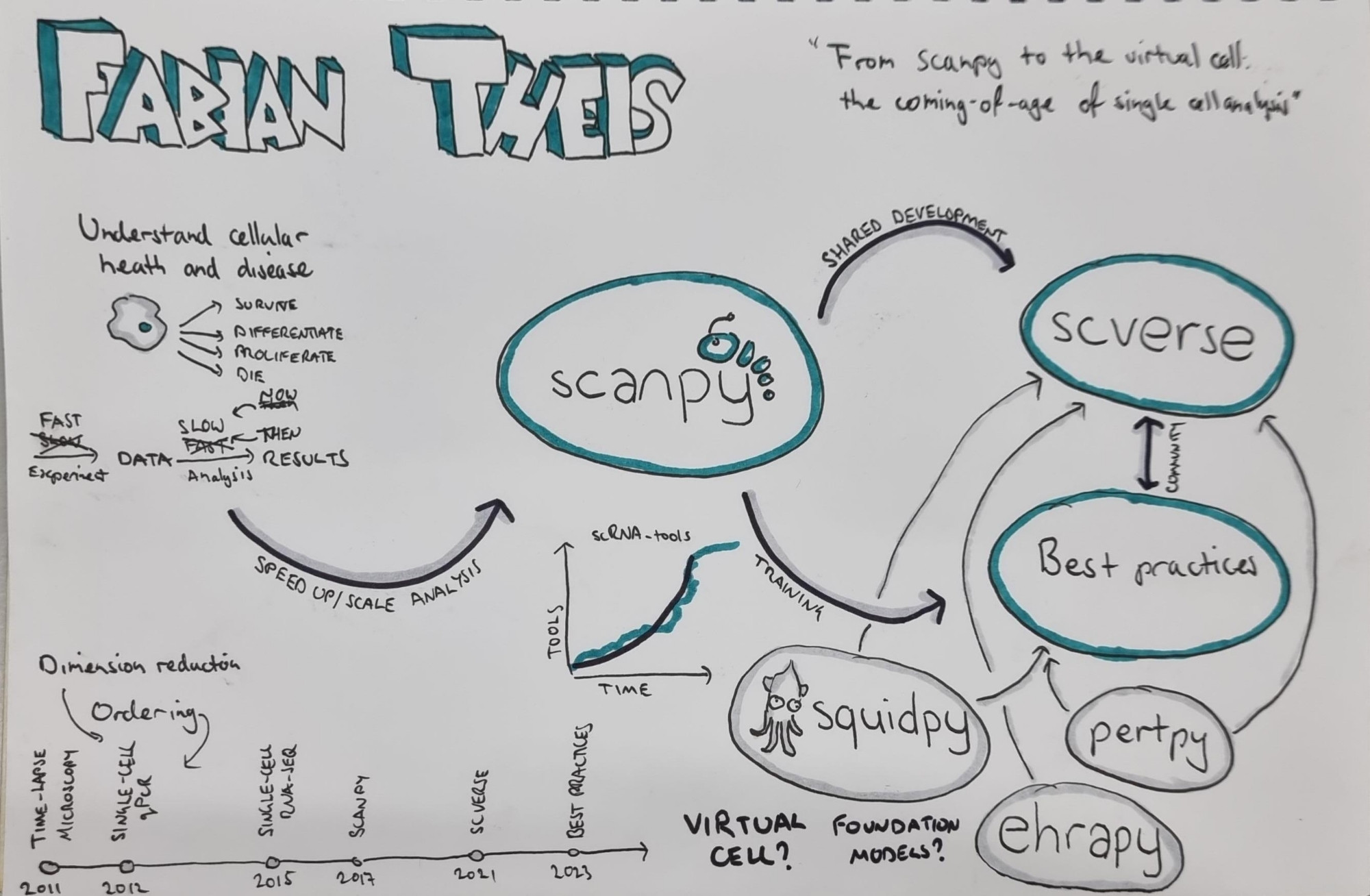 Sketchnotes from the final scverse conference keynote Fabian Theis "From scanpy to the virtual cell: the coming-of-age of single cell analysis"