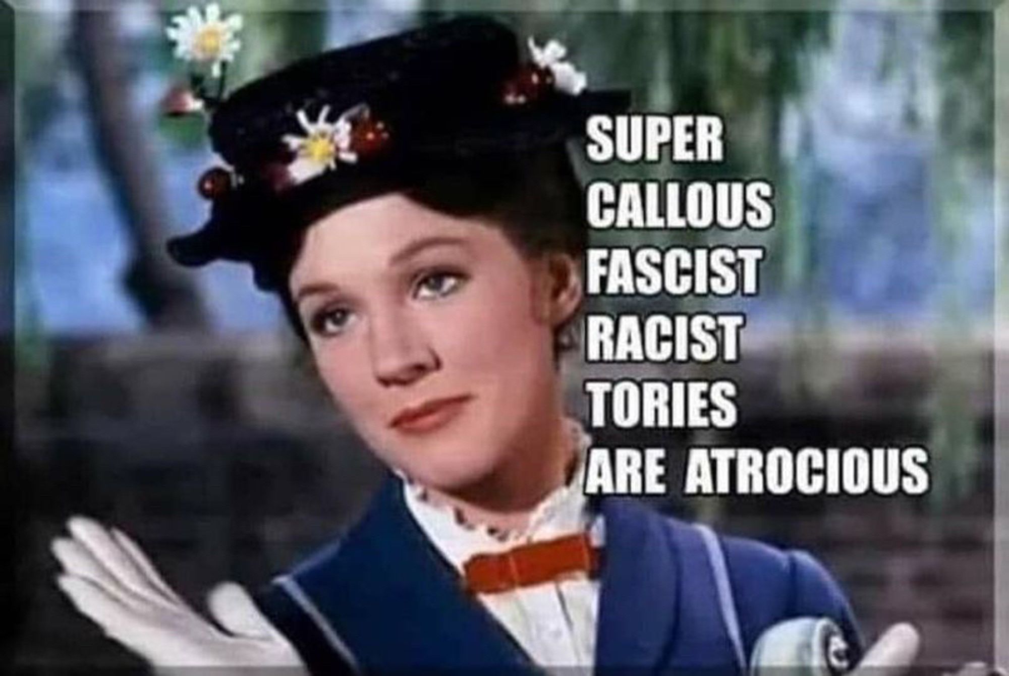 Meme showing a picture of Mary Poppins. The wording says Super callous fascist racist Tories are atrocious.