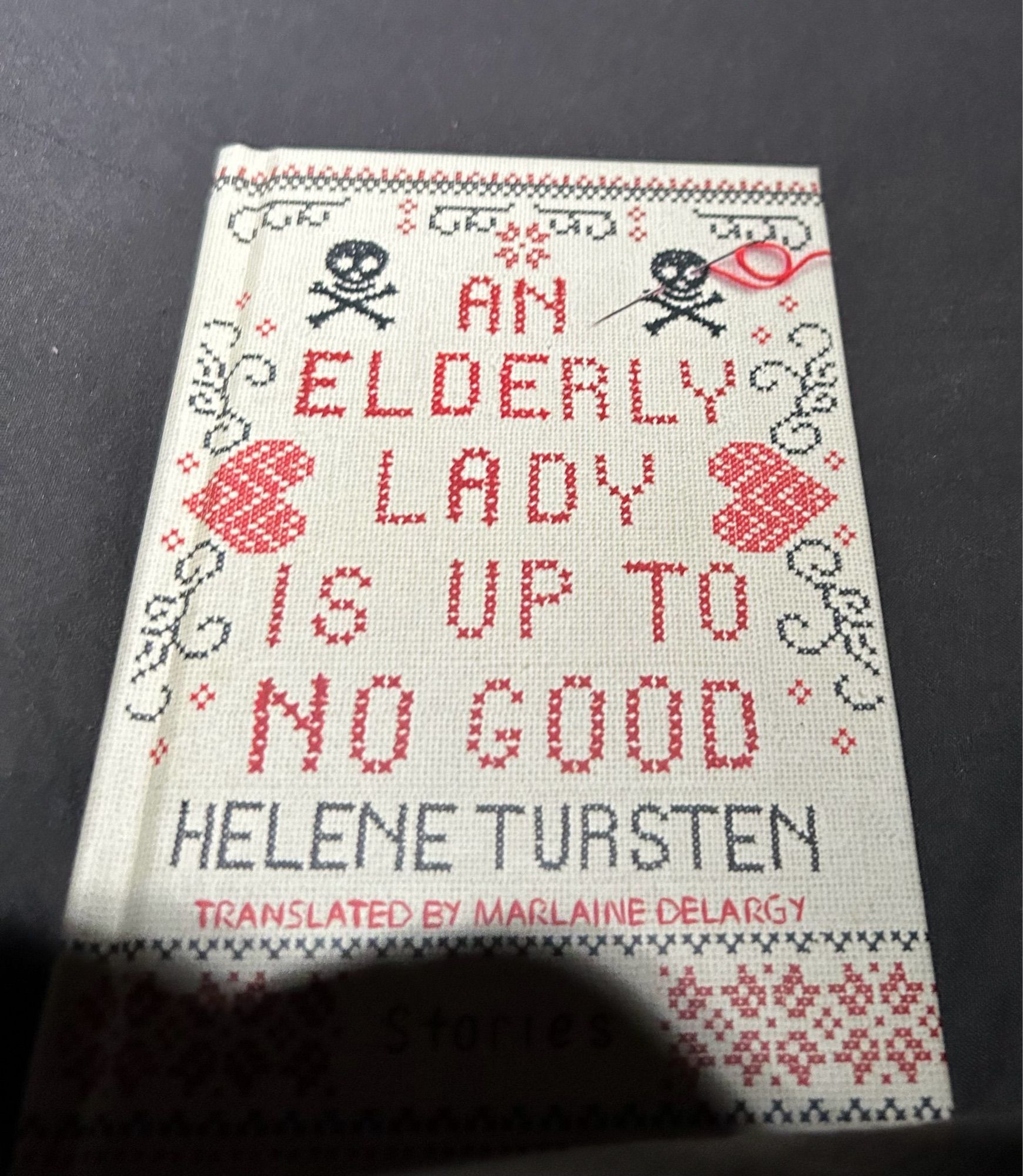 Cover of An elderly lady is up to no good by Helen Tursten.