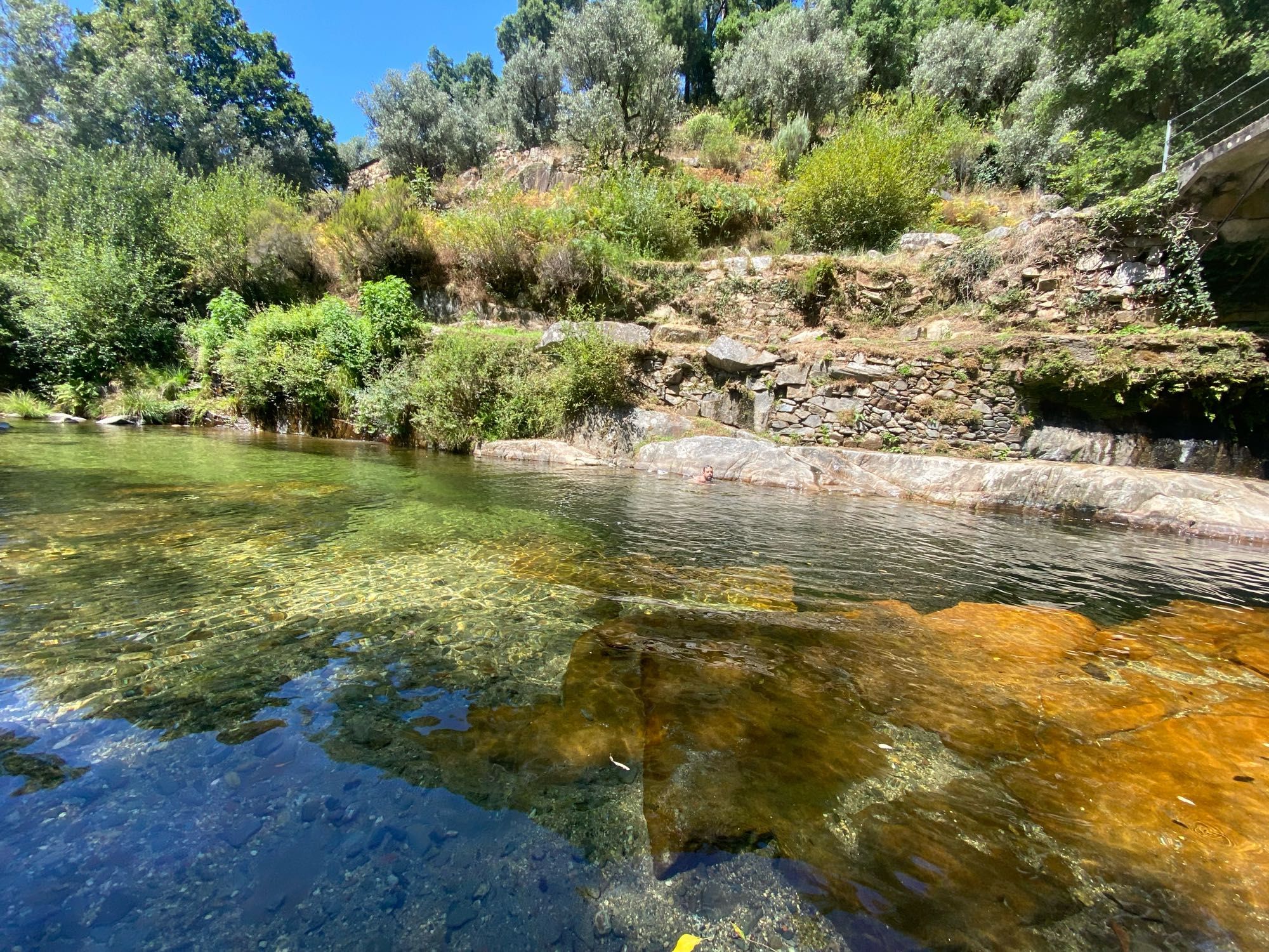 Stream surrounded by greenery in the interior of Portugal