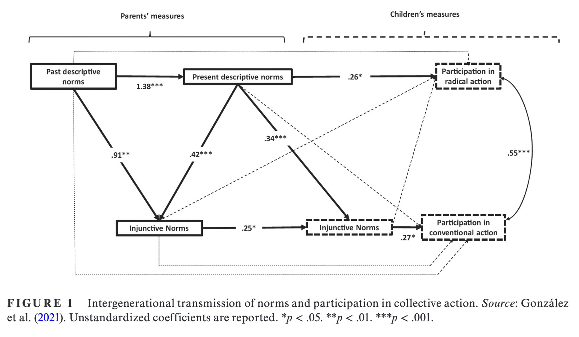 Path models showing that parents' descriptive and injunctive norms are related to children's norms and their participation in collective action.