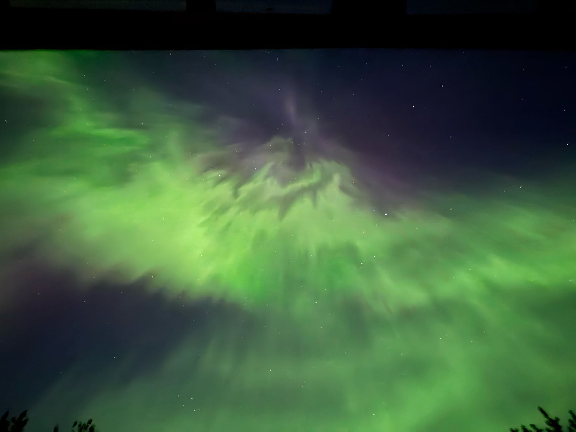 A picture of the Aurora borealis, a green and purple ribbon of plasma across a dark blue night sky, with trees at the bottom of the picture