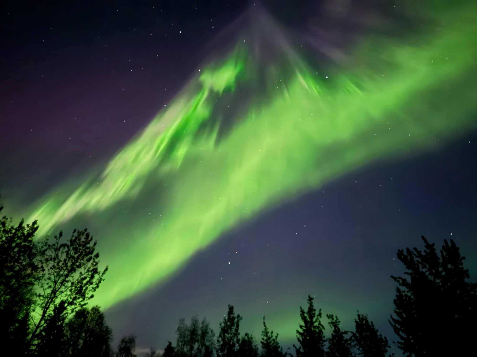 A picture of the Aurora borealis, a green ribbon of plasma across a dark blue night sky, with trees at the bottom of the picture