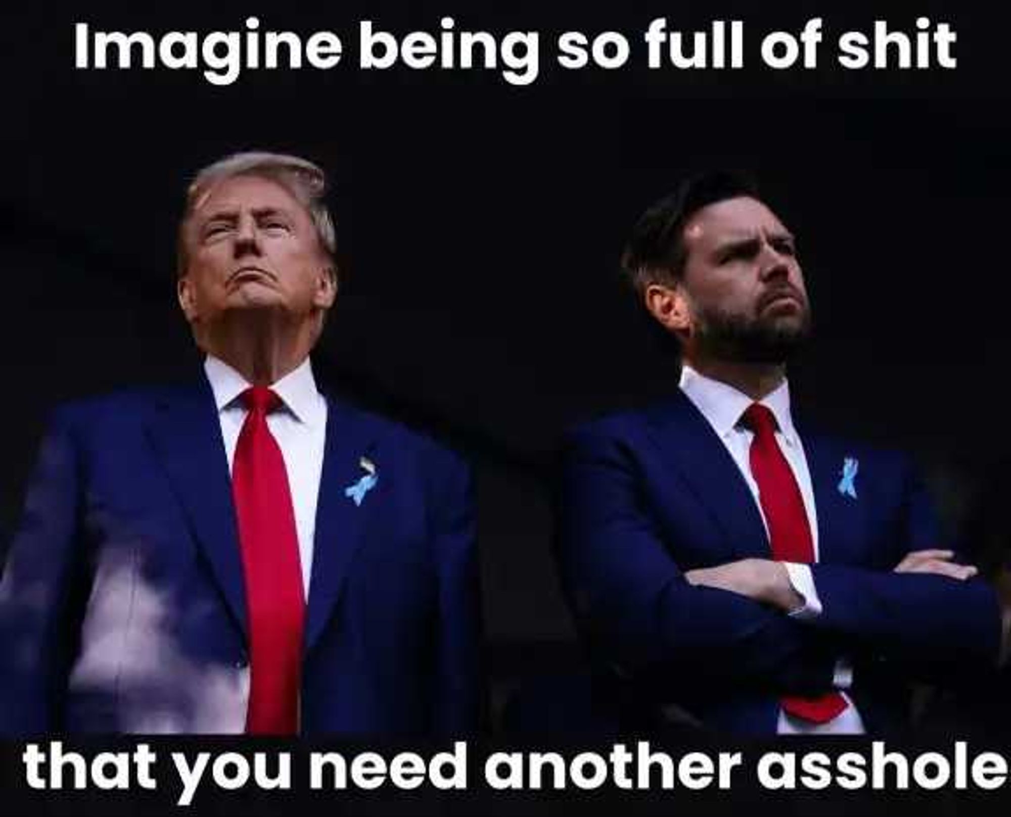 Image of Trump and Vance in matching suits, ties and lapel badges.
Text reads: "Imaging being so full of shit that you need another asshome."