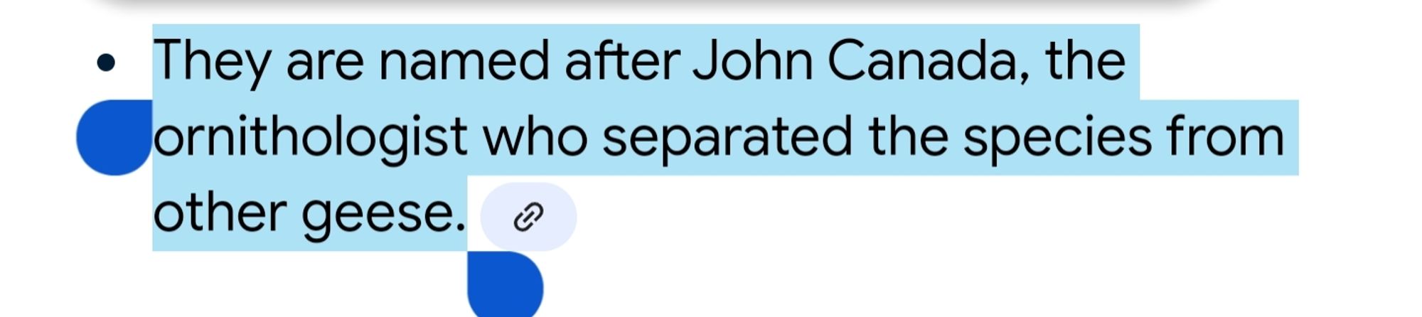 google ai response saying Canada Gooses are named after John Canada.